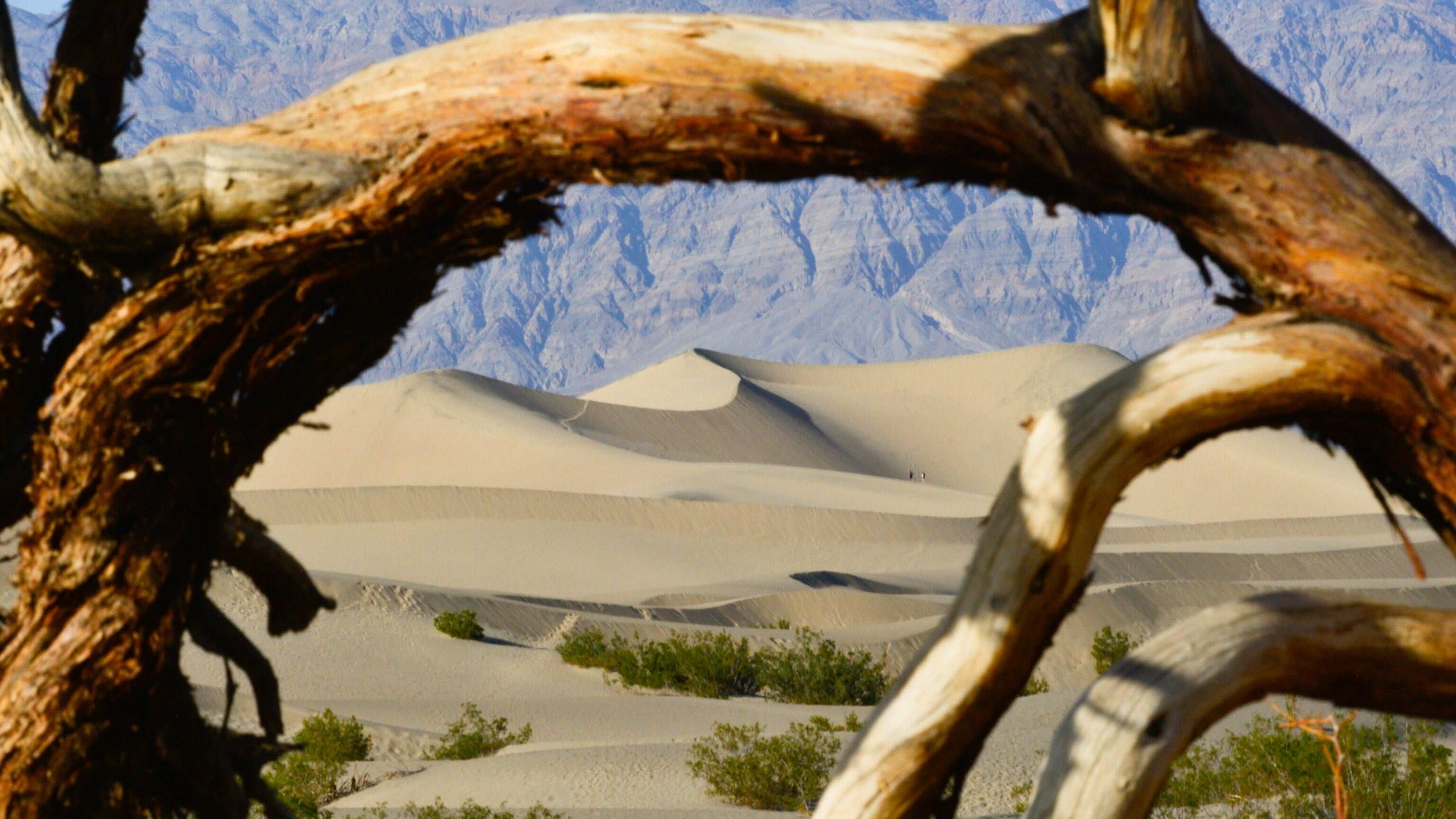 How did Death Valley gets its name? Not from the heat. - Vimarsana News