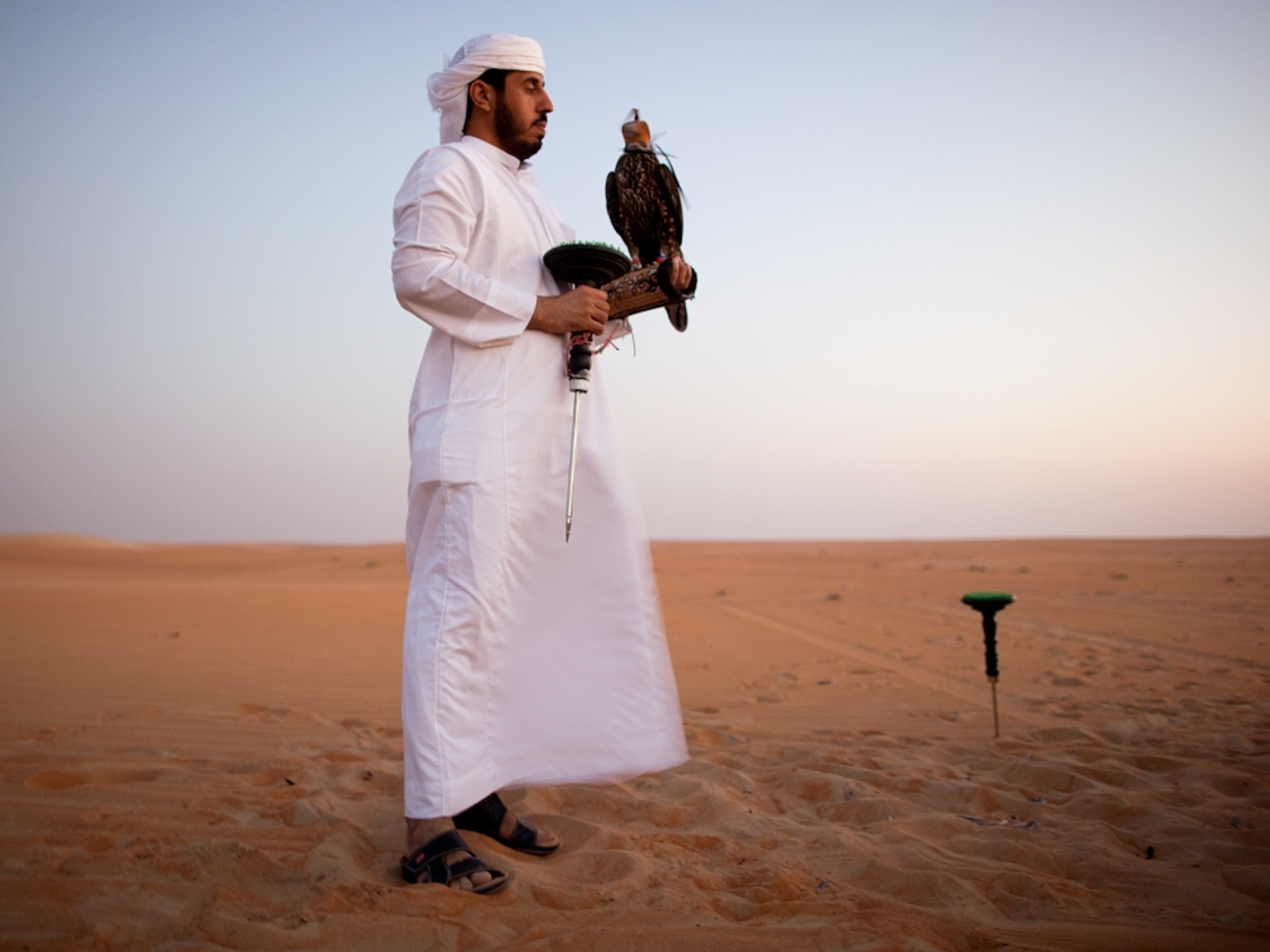 a Bedouin man with falcon