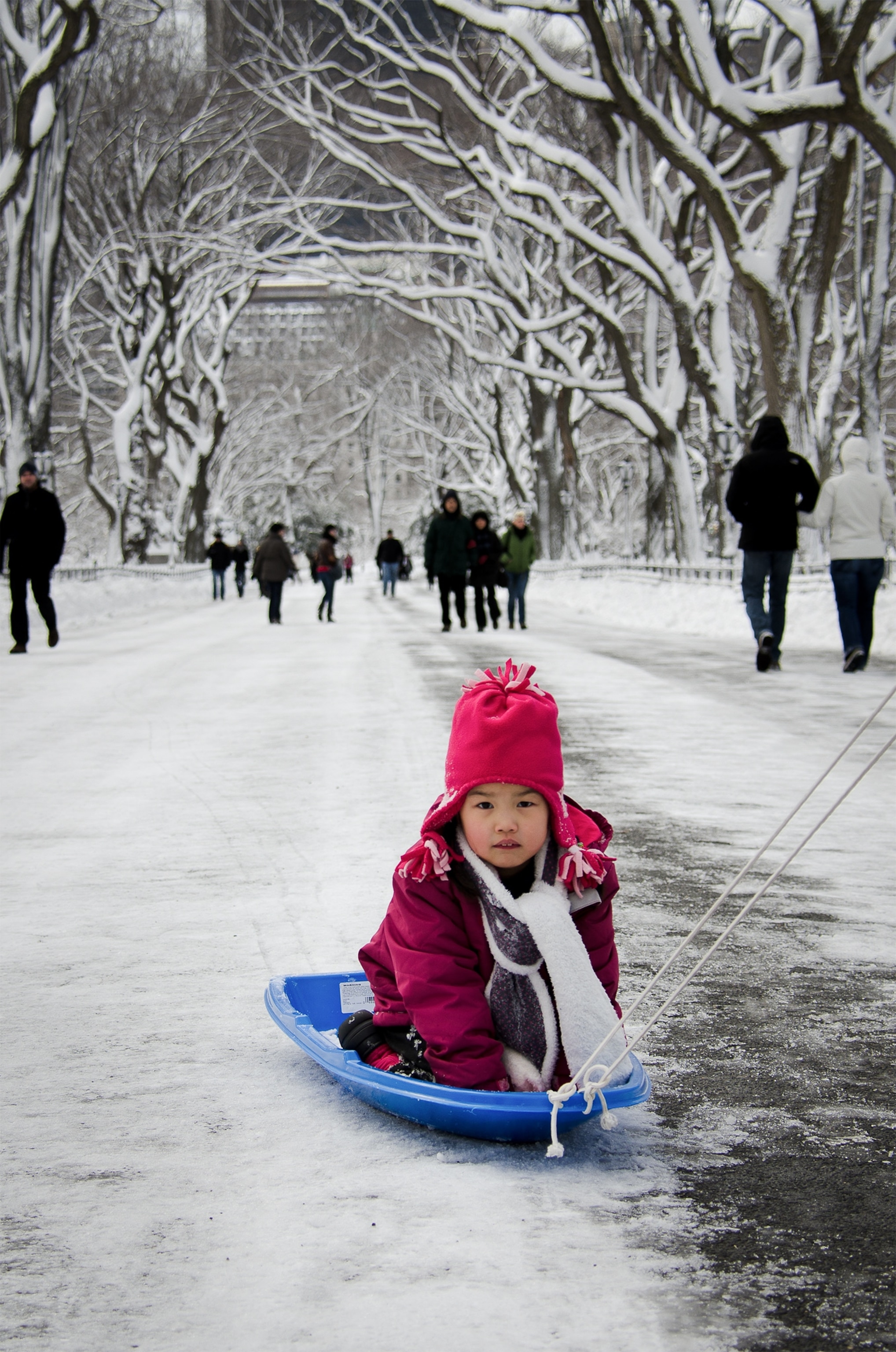 a girl sledding in Central Park during Nemo blizzard