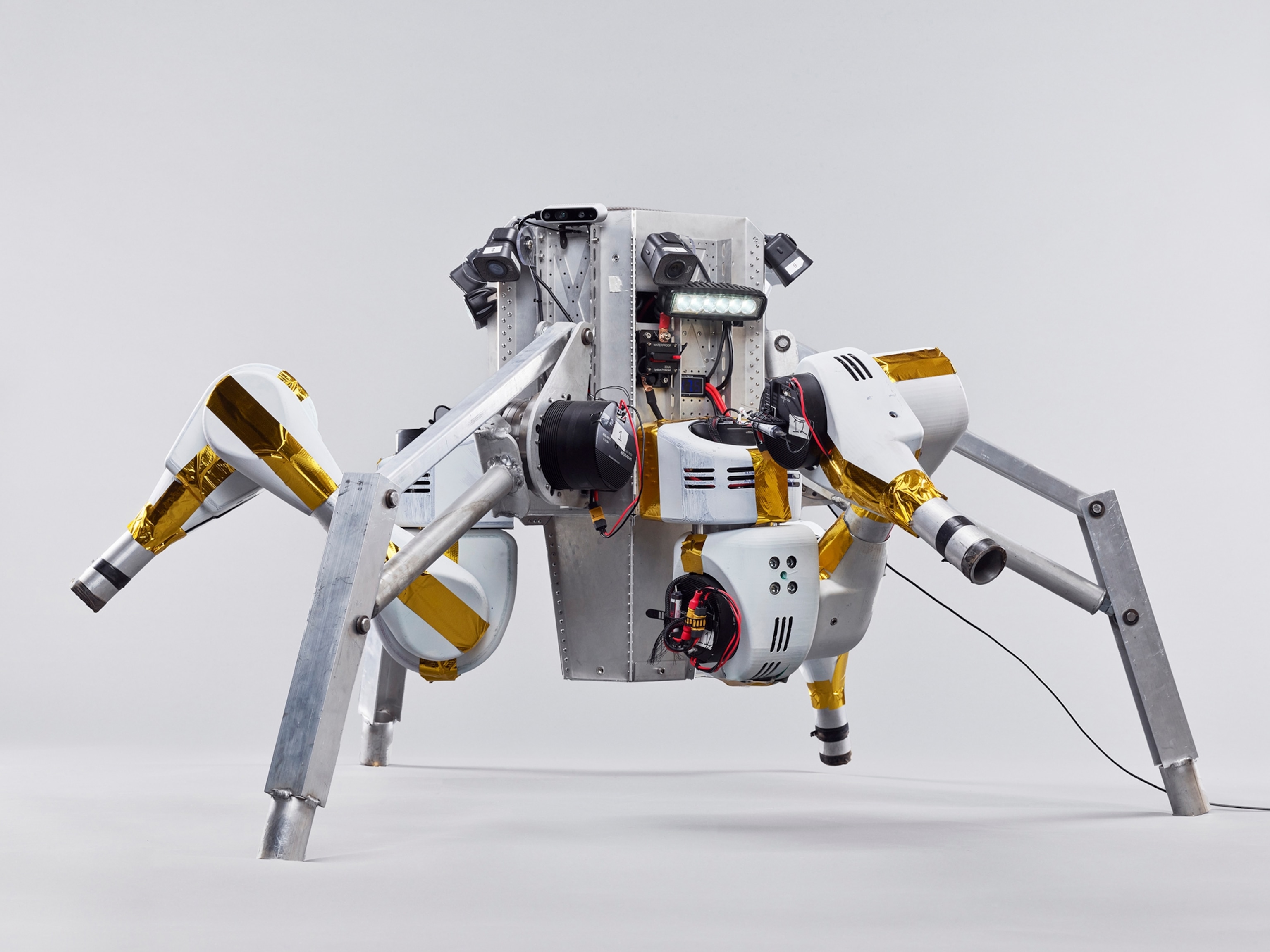 'Snakes' on the moon? These helpers could soon join our lunar mission.