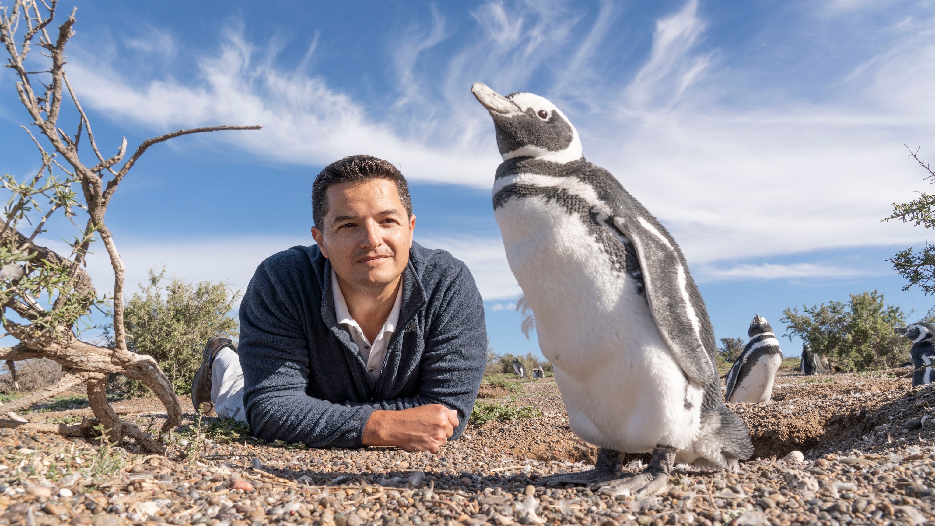 Pablo “Popi” Garcia Borboroglu has dedicated his life to protecting penguins around the world