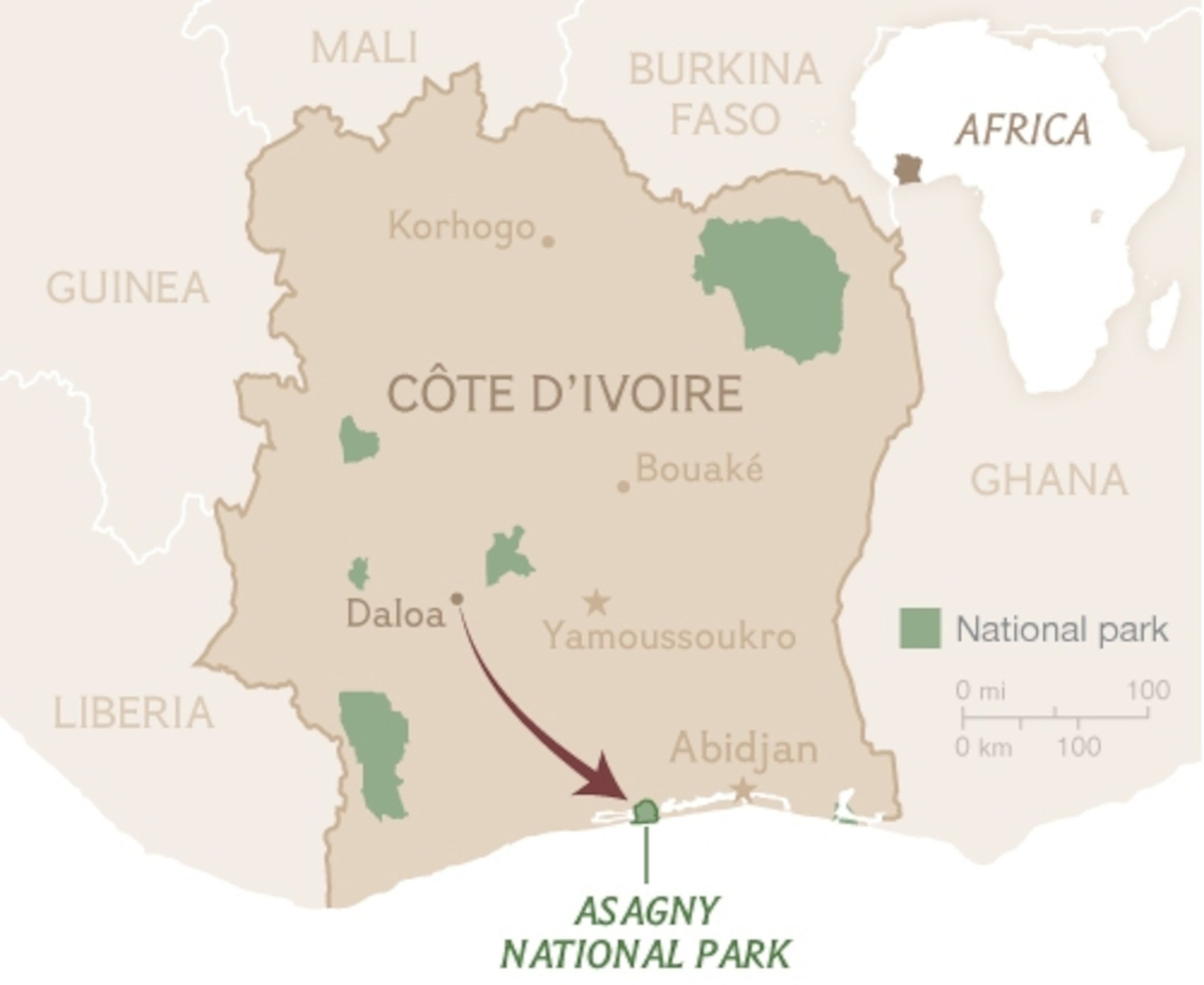 an elephant in a truck.