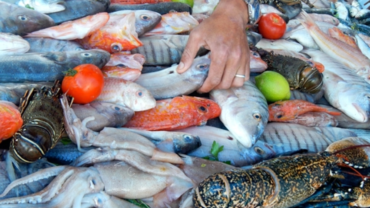 Food Fridays Tastes of Morocco