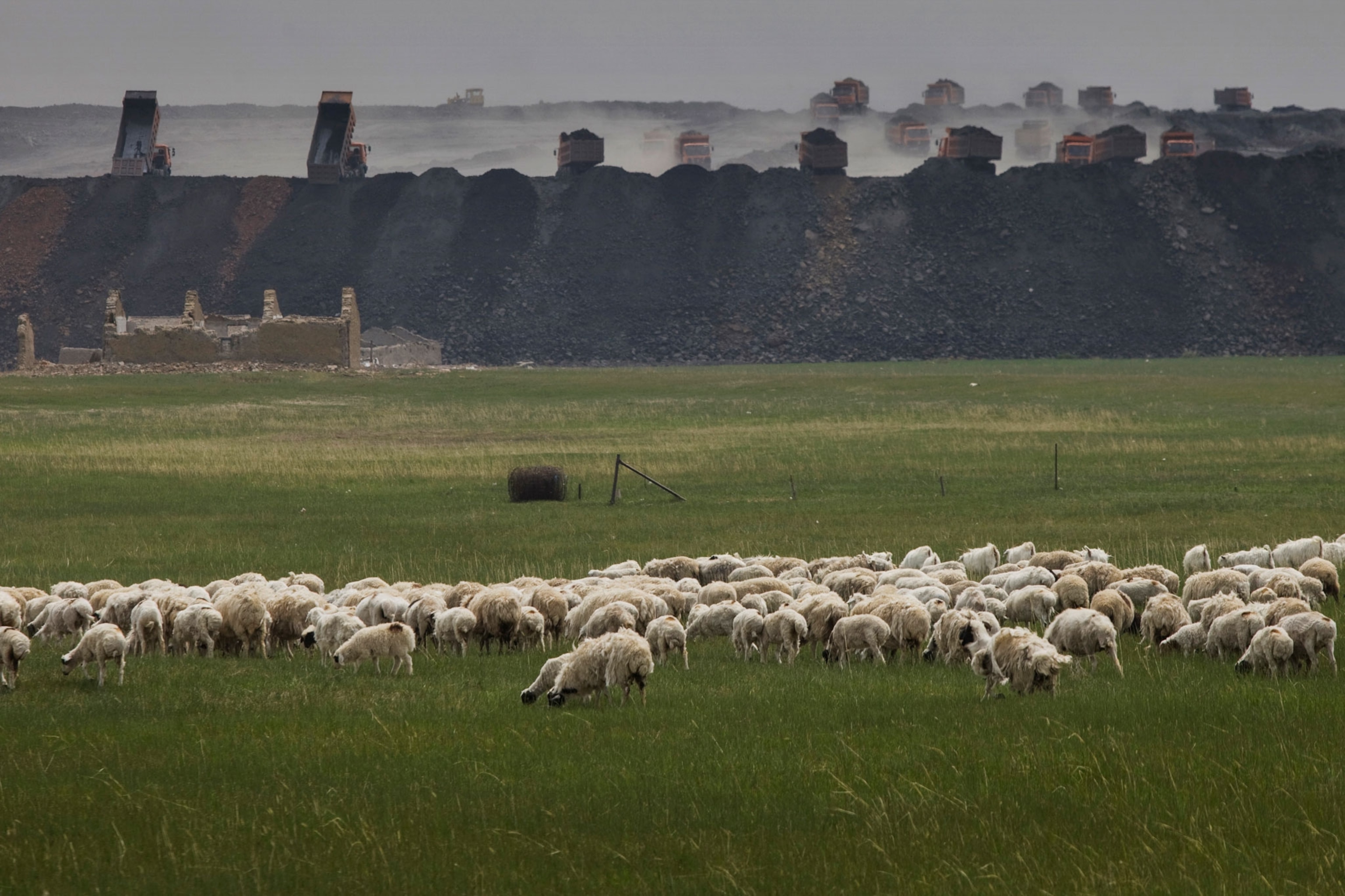a mine encroaching upon sheep grazing in China