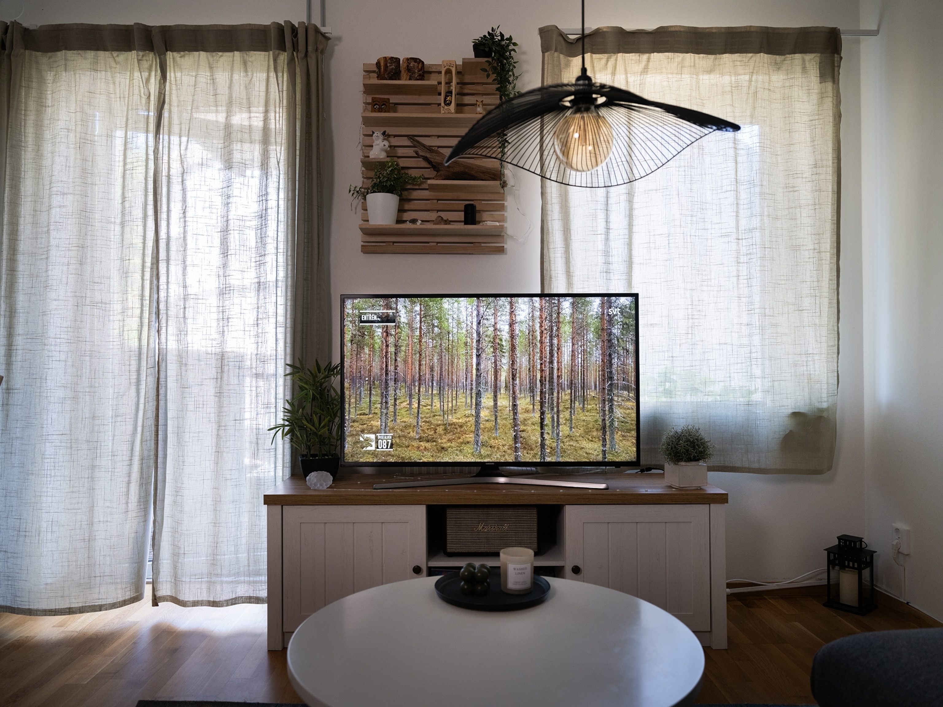 A TV in a living room setting is showing a nature scene of a nordic forest