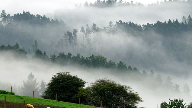Bohemian Switzerland National Park Czech Republic National Geographic Bohemian Switzerland National Park Czech Republic National Geographic