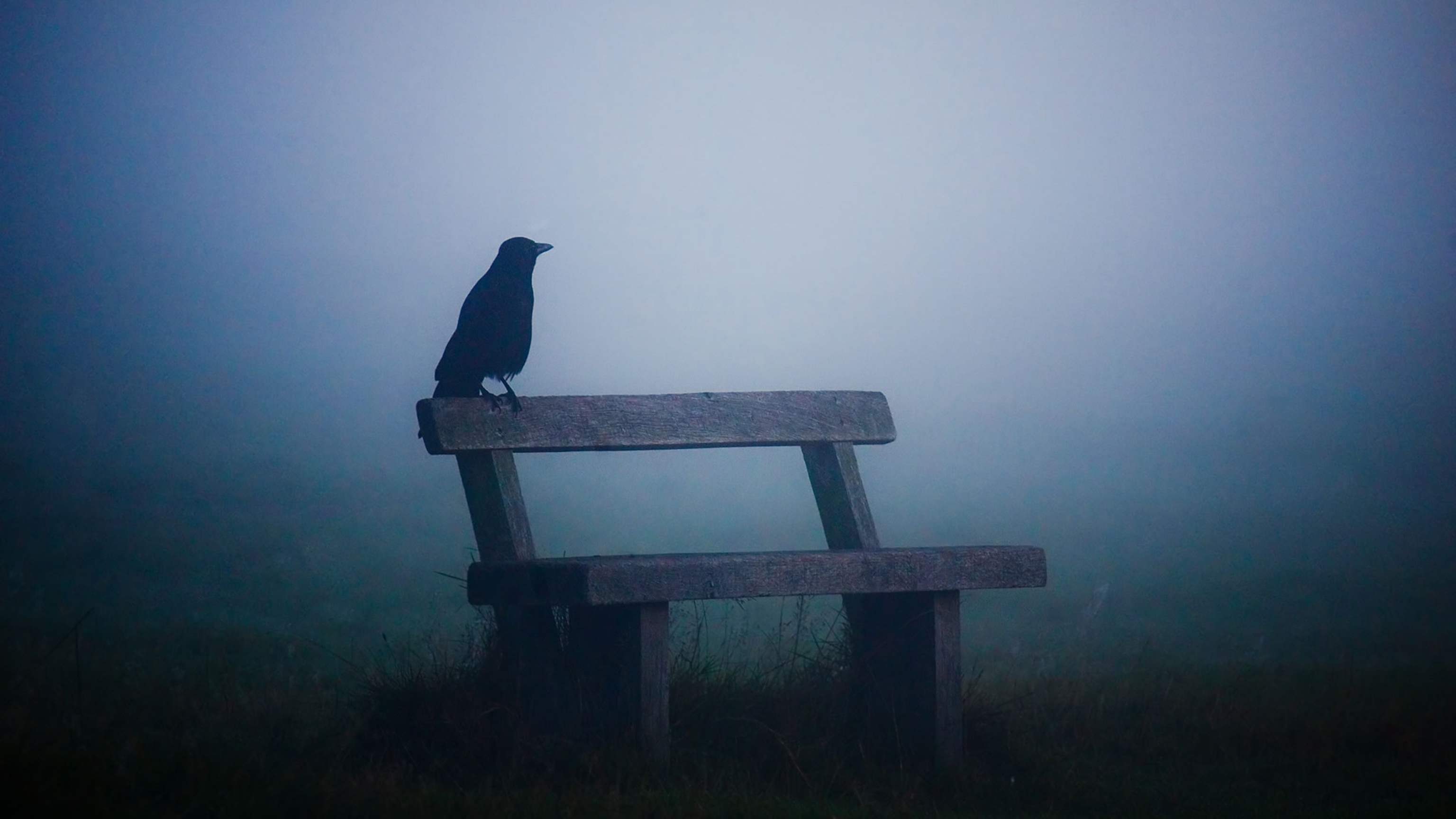 Here’s why Friday the 13th scares us