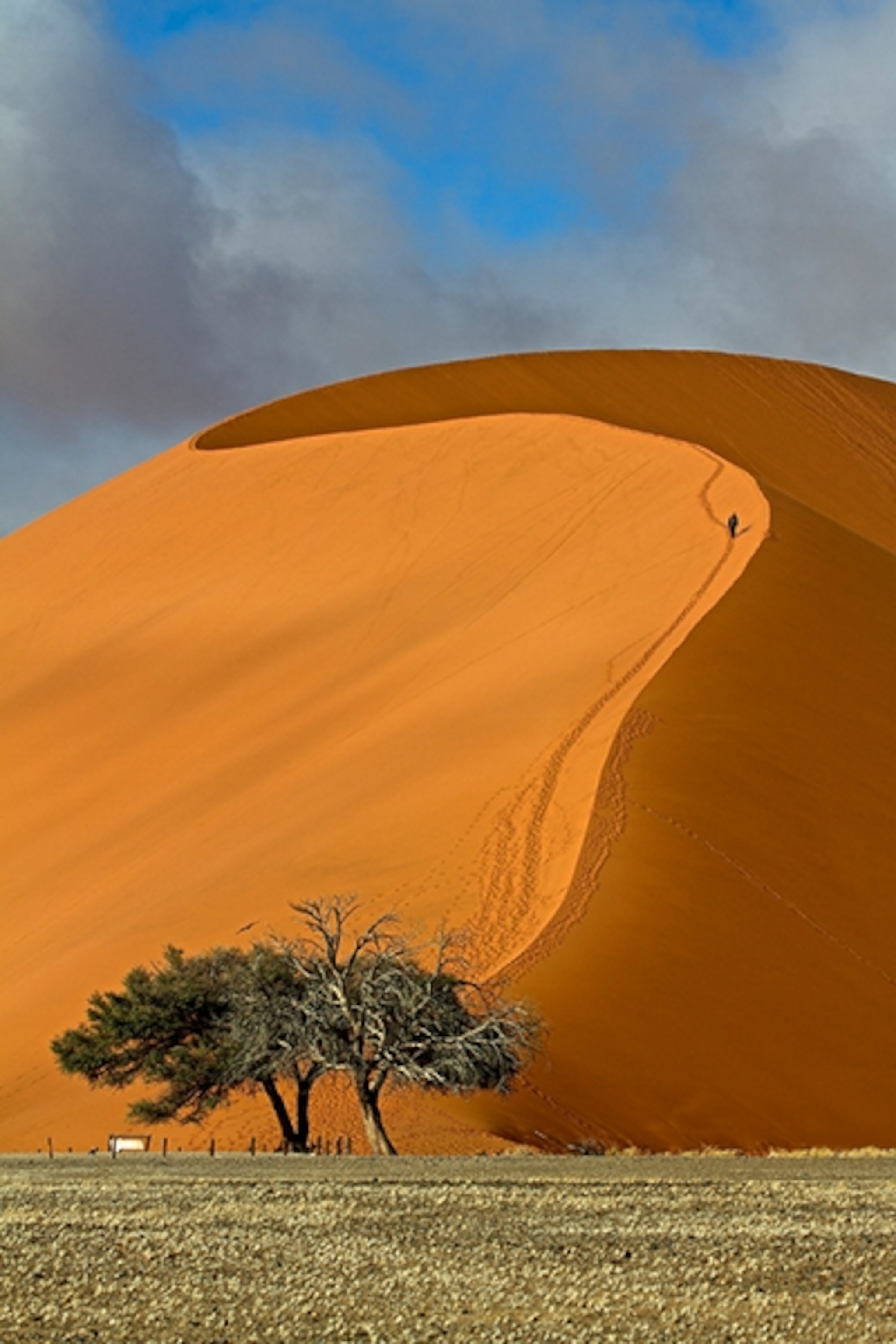 sand dune in Namibia