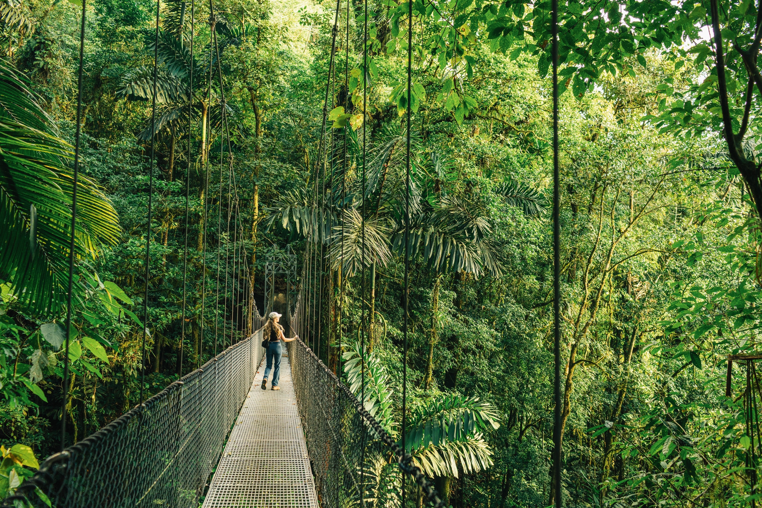 Woman walking through rainforest on rope bridge