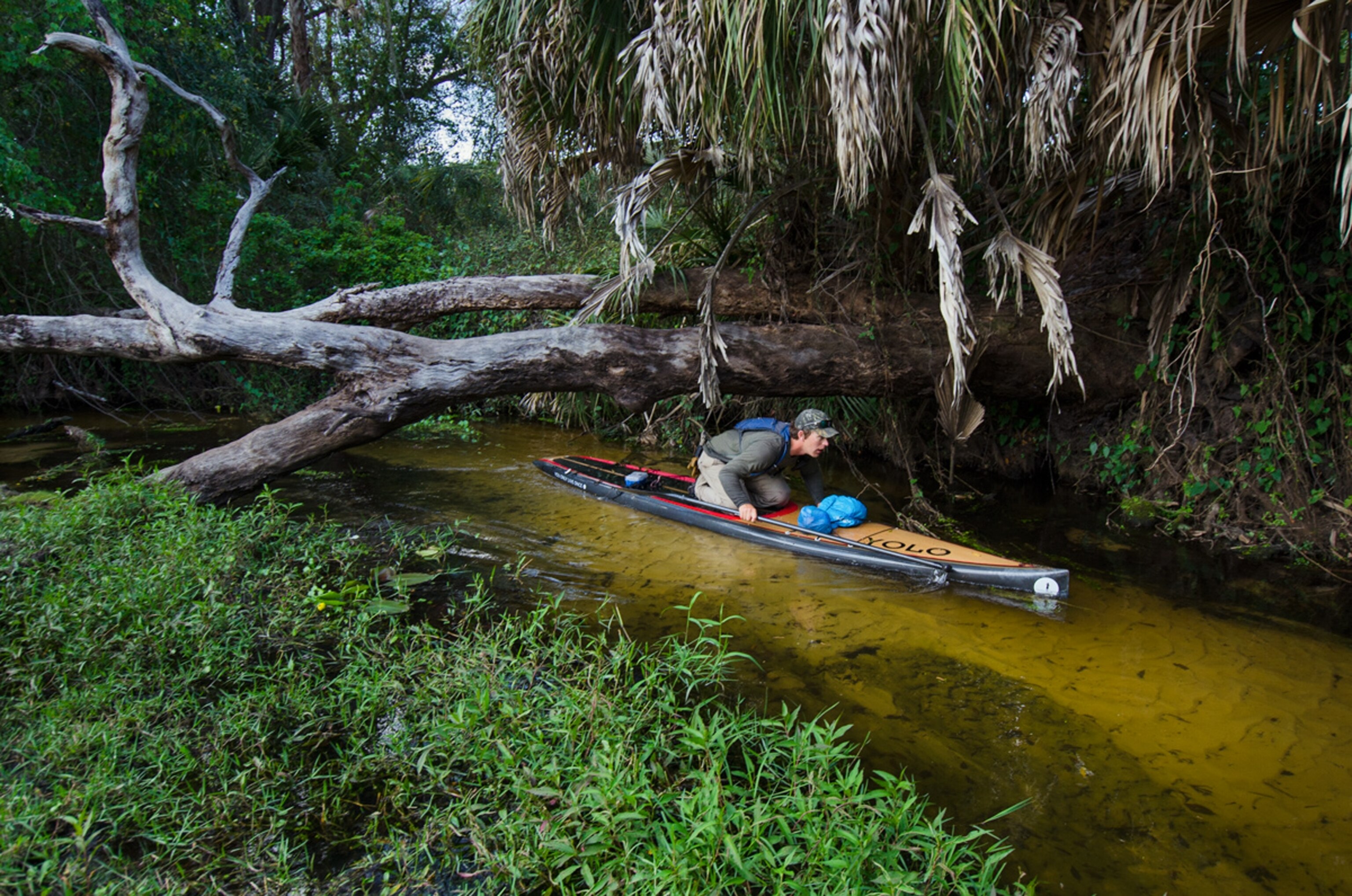 Josephine Creek picture - part of the Florida Wildlife Corridor Expedition