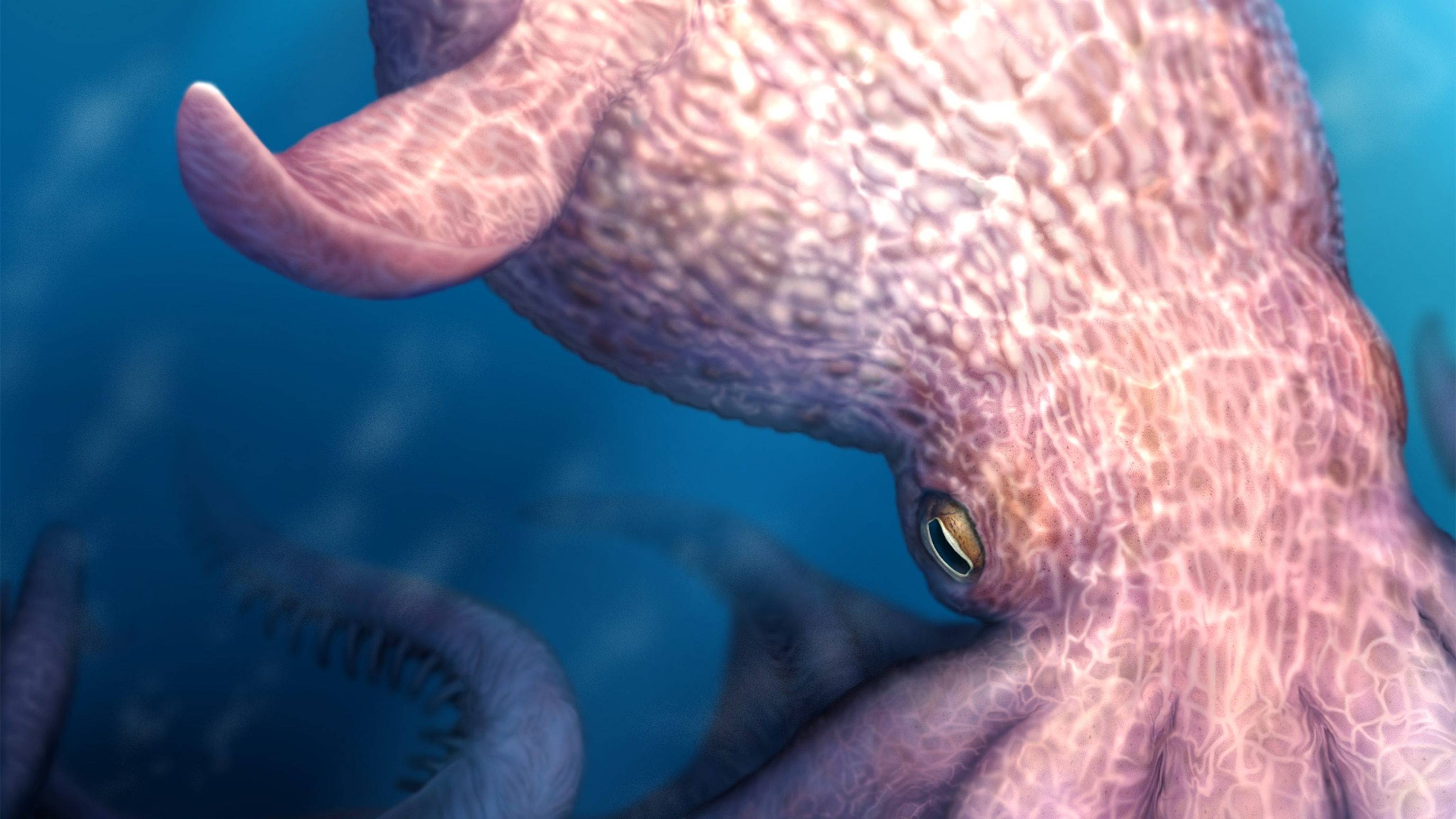 Jaw fossils suggest a 60-foot octopus was the 'kraken' of the