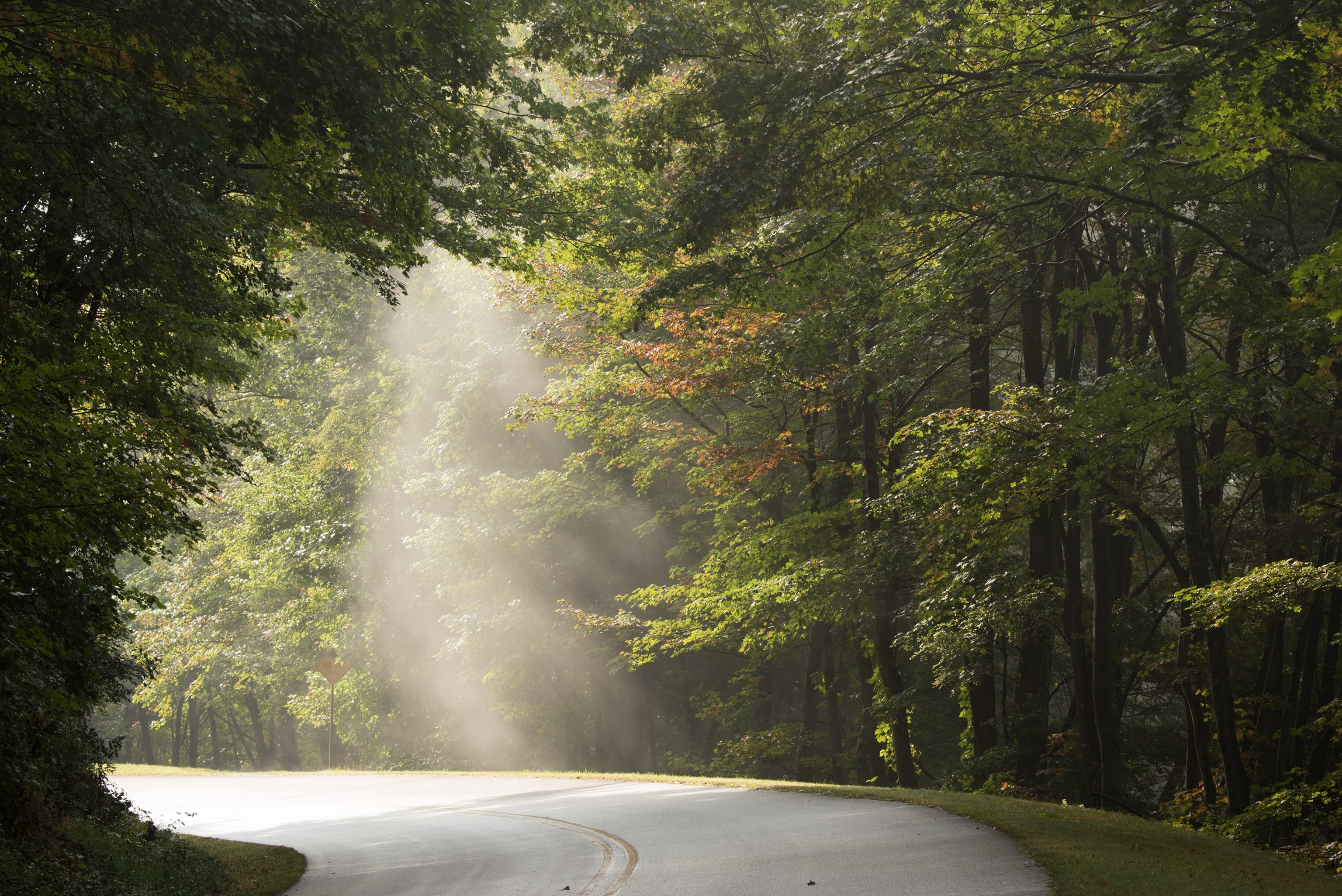 sunlight striking a roadway along the Blue Ridge Parkway, North Carolina
