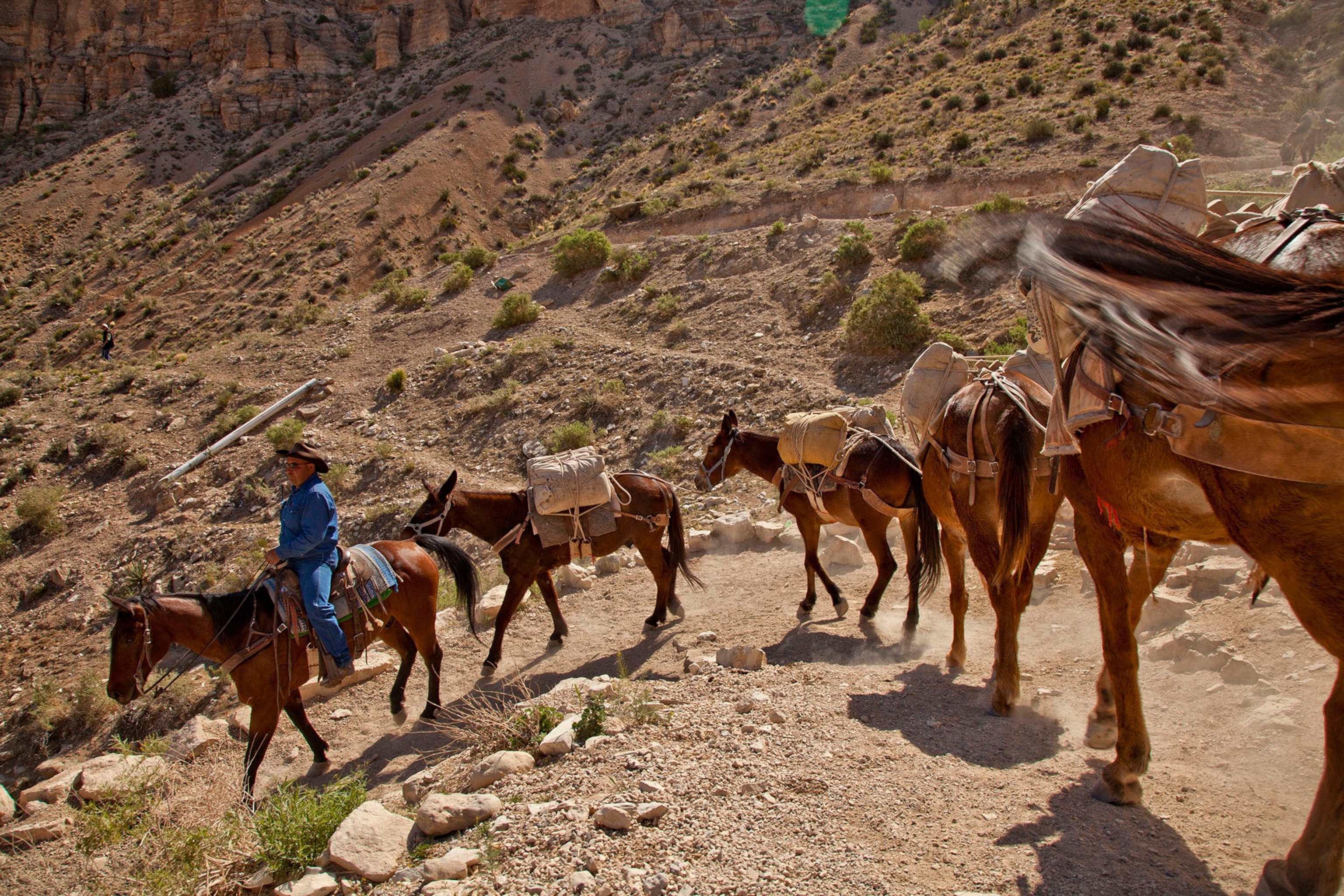 The Havasupai Indian Reservation on the southern rim and on the floor of the Grand Canyon. The Native Americans have lived in the Grand Canyon for over 600 years and are the only people to live permanently inside the Grand Canyon. Packers and Tourist on the top of the south rim of the grand canyon preparing to head into the canyon towards Supai.