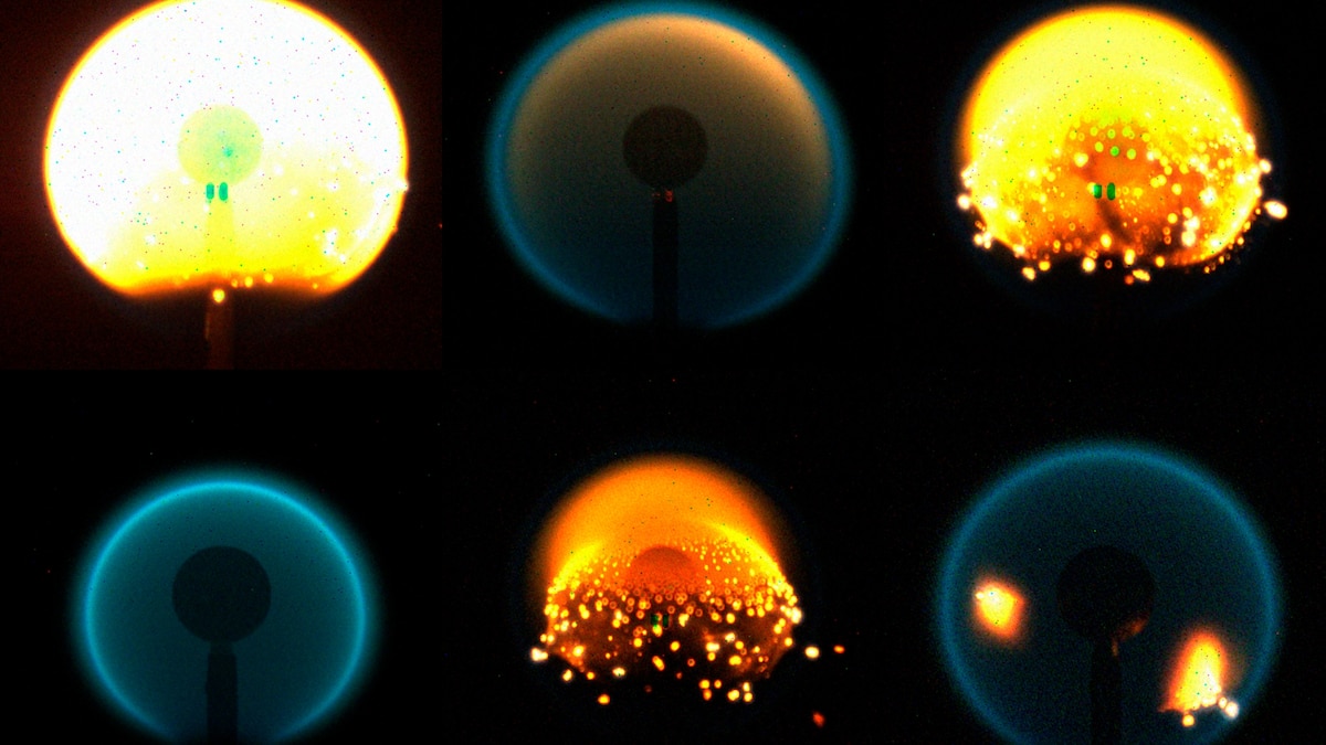 Flames in space are otherworldly—and tomatoes on Earth feel the heat - Vimarsana News