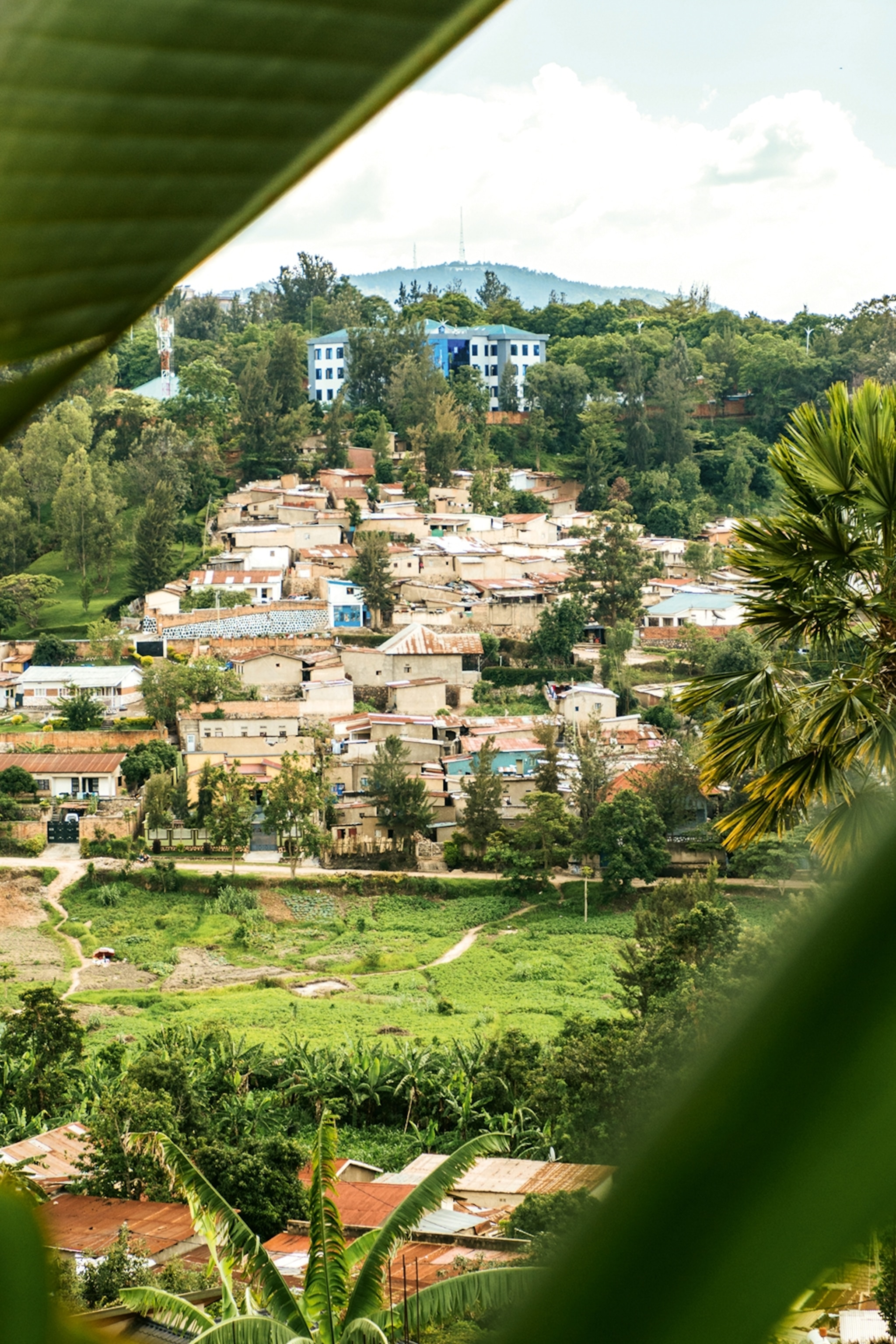 A hill-side view over a city surrounded by green forests and fields.