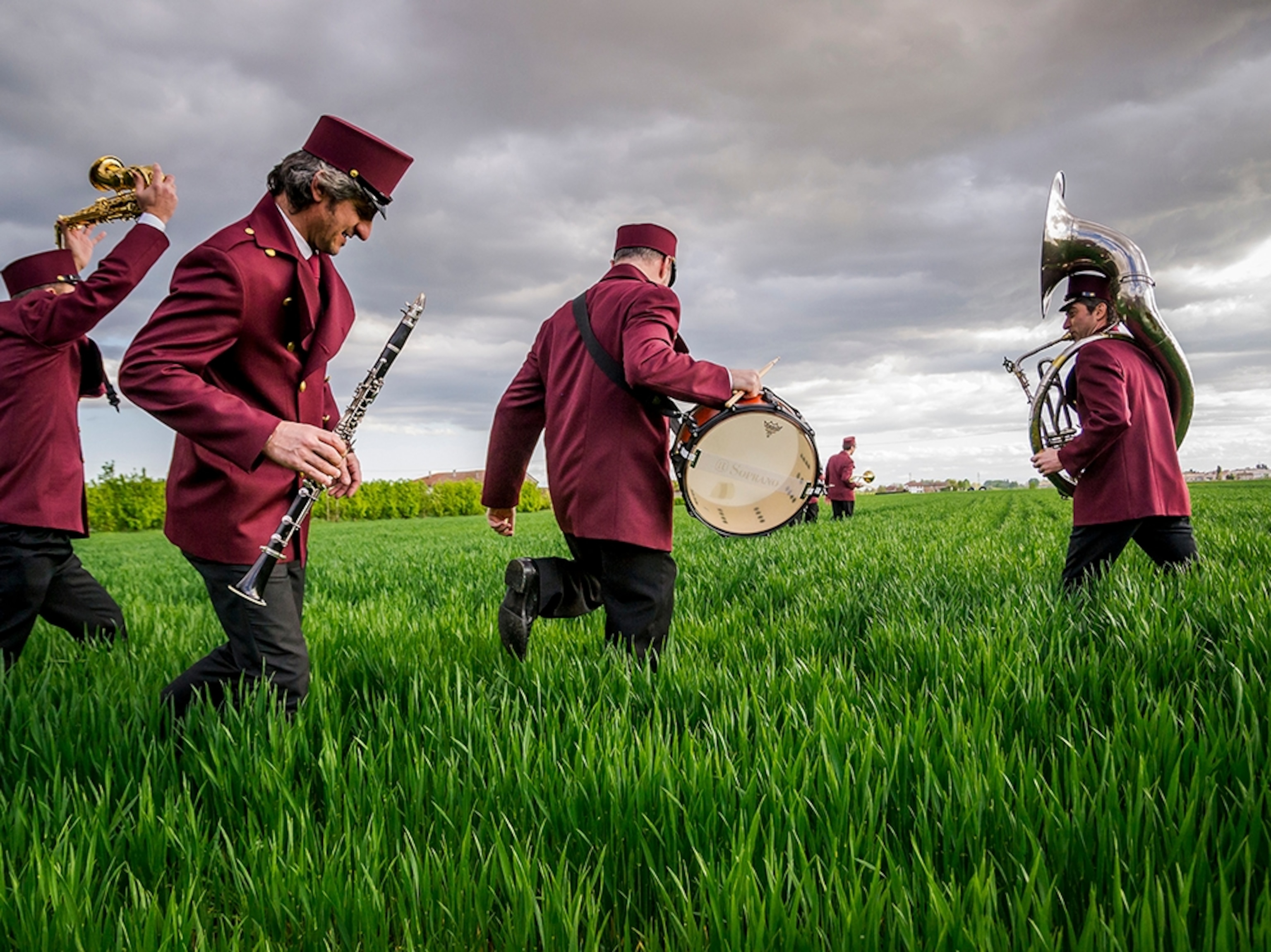 musicians in a field, Renazzo, Emilia Romagna, Italy