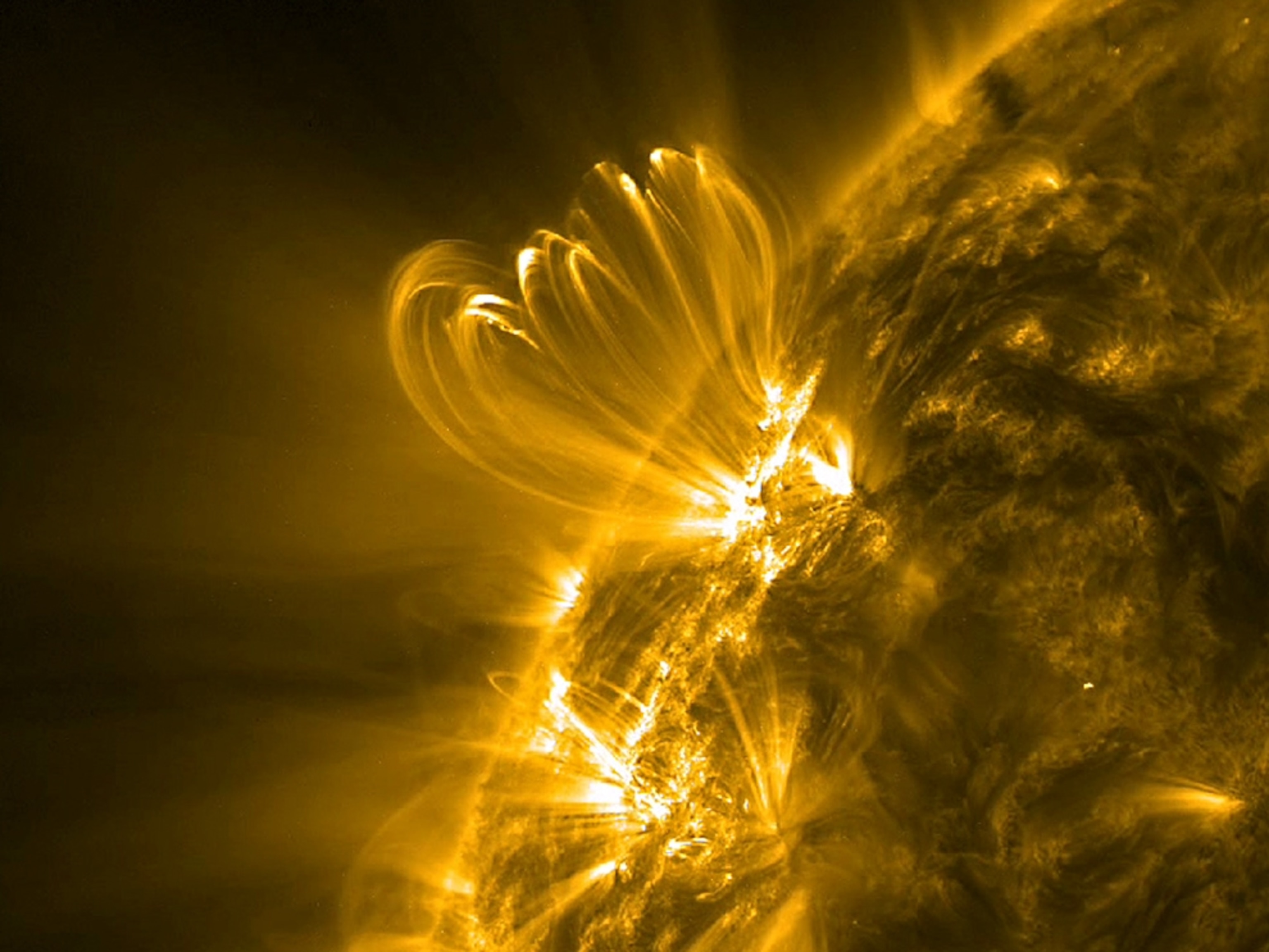 Sun picture: plasma loops over an active region