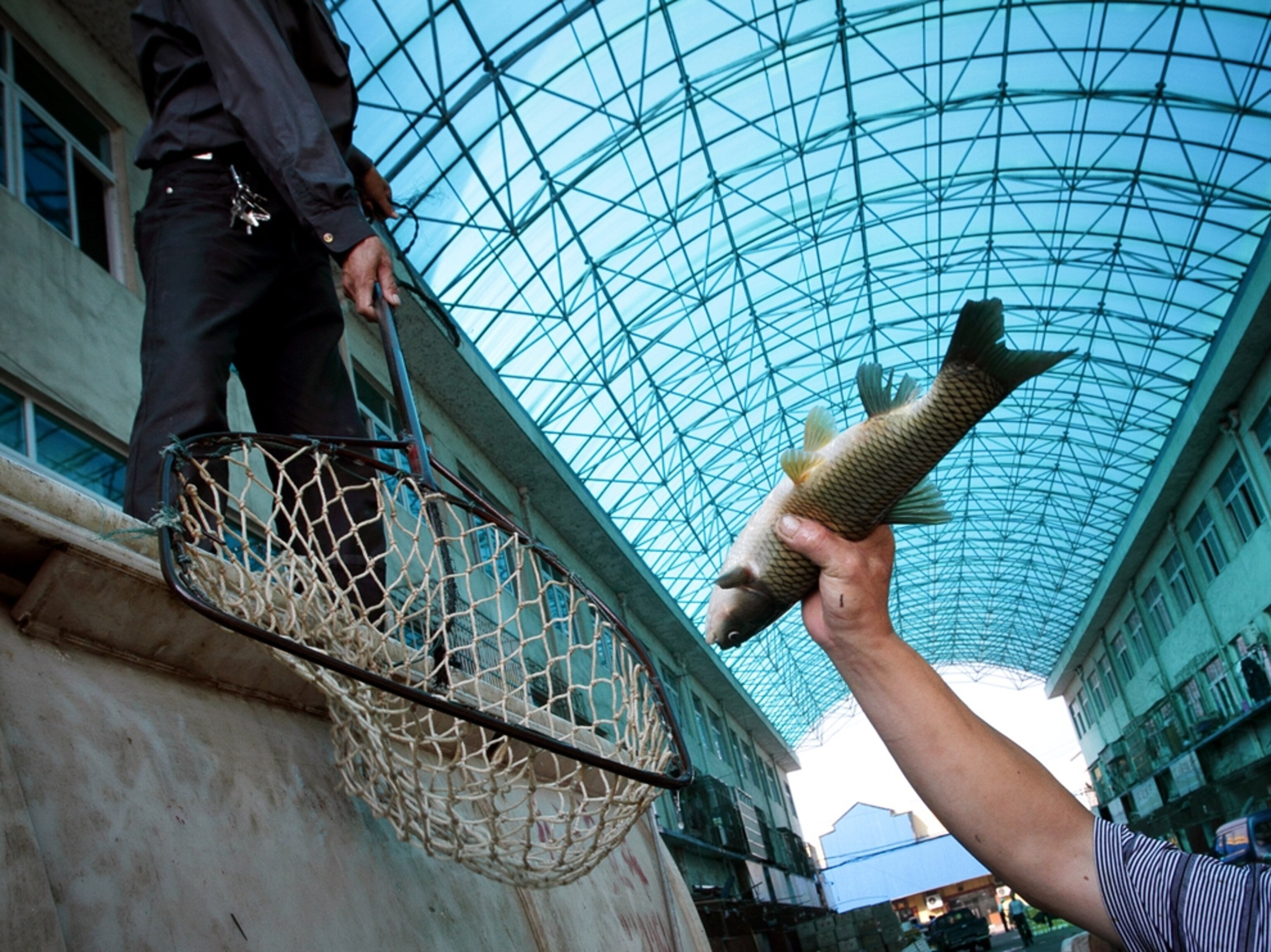 Fish traders in Yueyang town