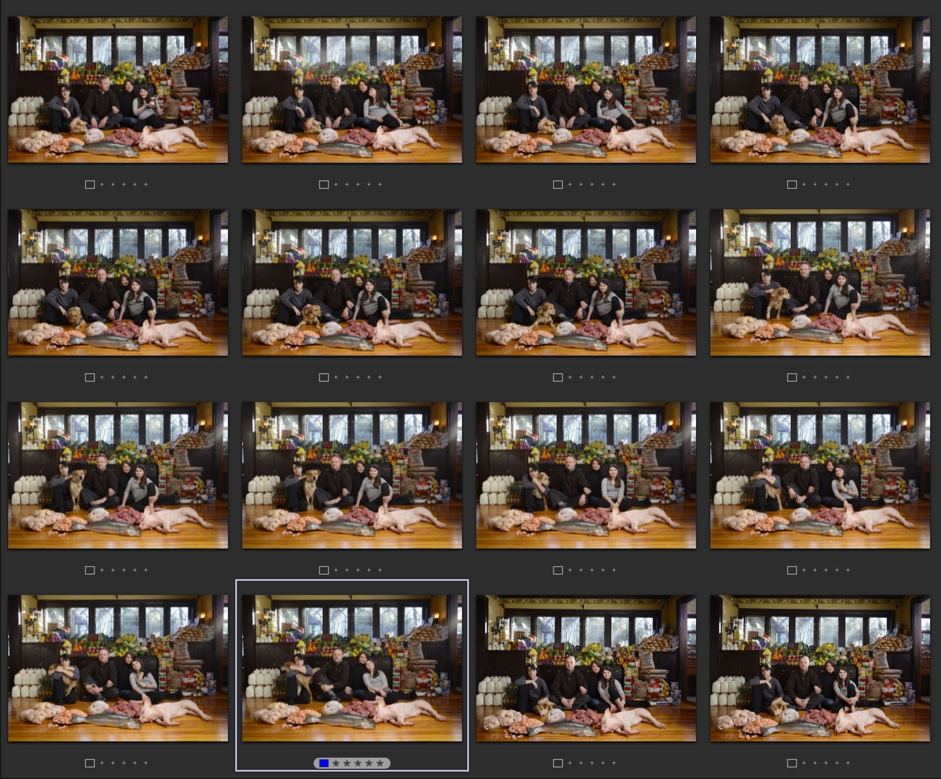 a contact sheet from the food waste photo shoot