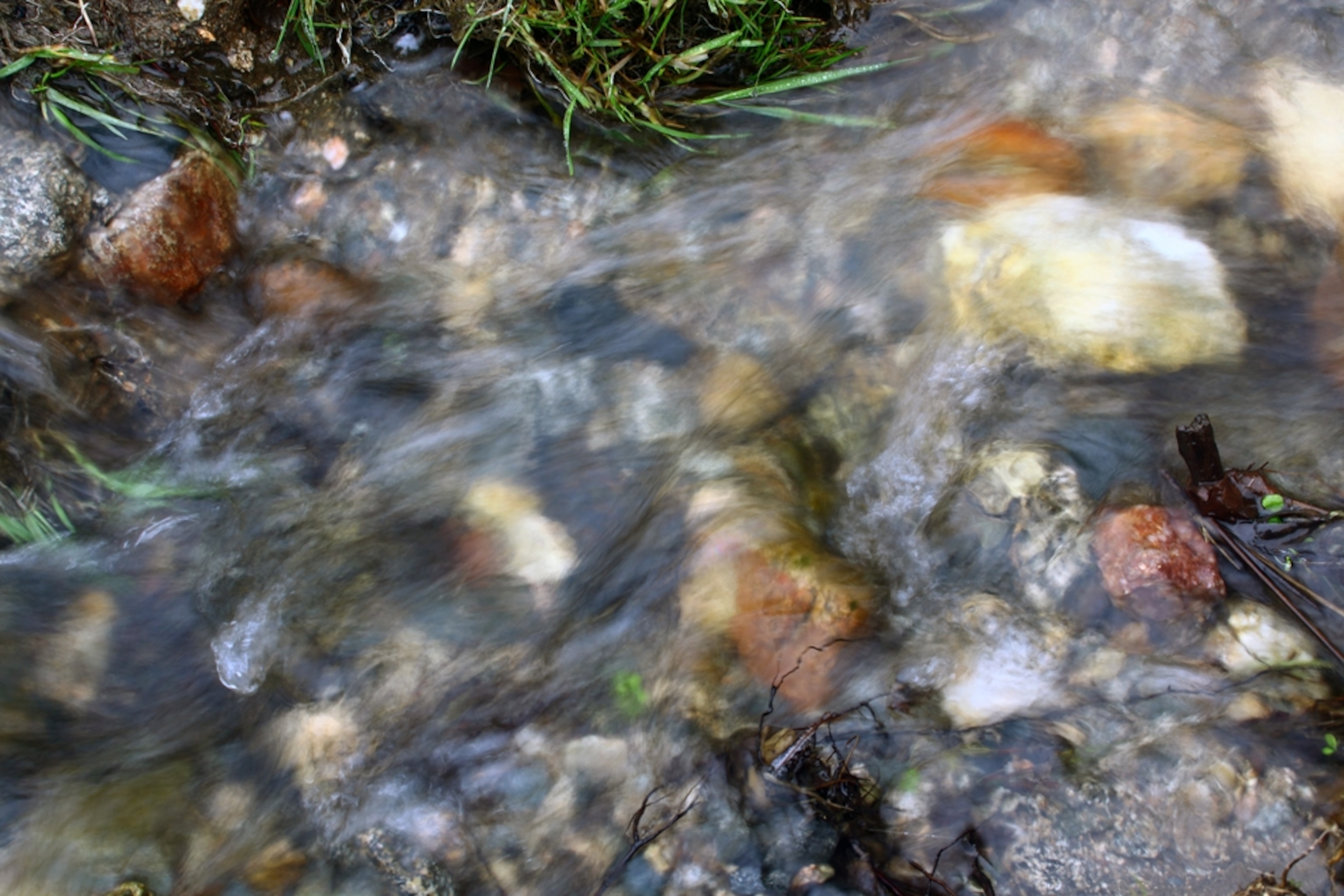 The watershed begins with many streams and wandering tributaries, which eventually find one of the four major rivers in San Diego County: San Luis Rey River, San Dieguito River, San Diego River, and the Tijuana River