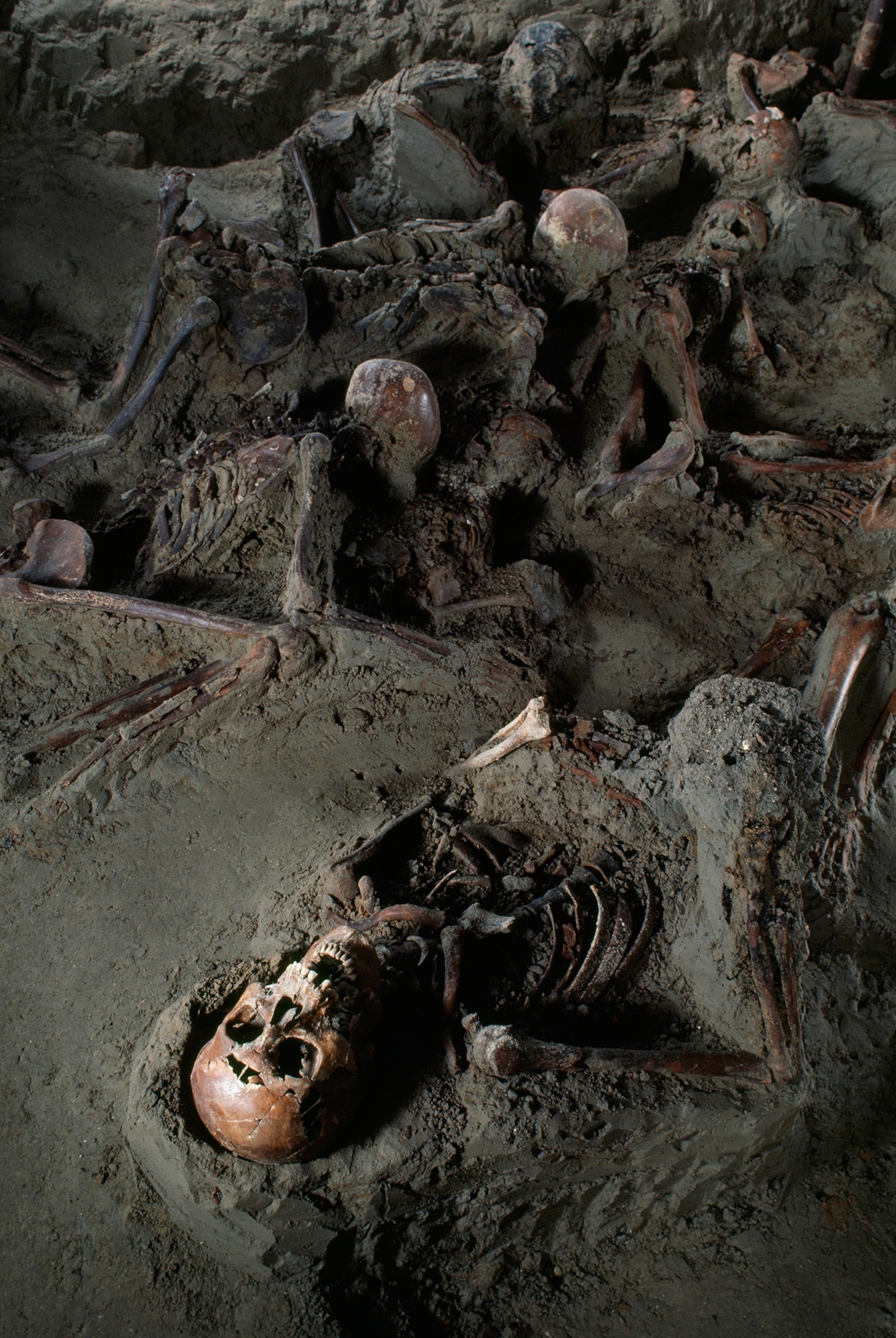 Victims of Mount Vesuvius' ancient eruption lie in ash.