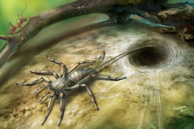 01-spider-in-amber-spider-and-web.jpg?w=636&h=424