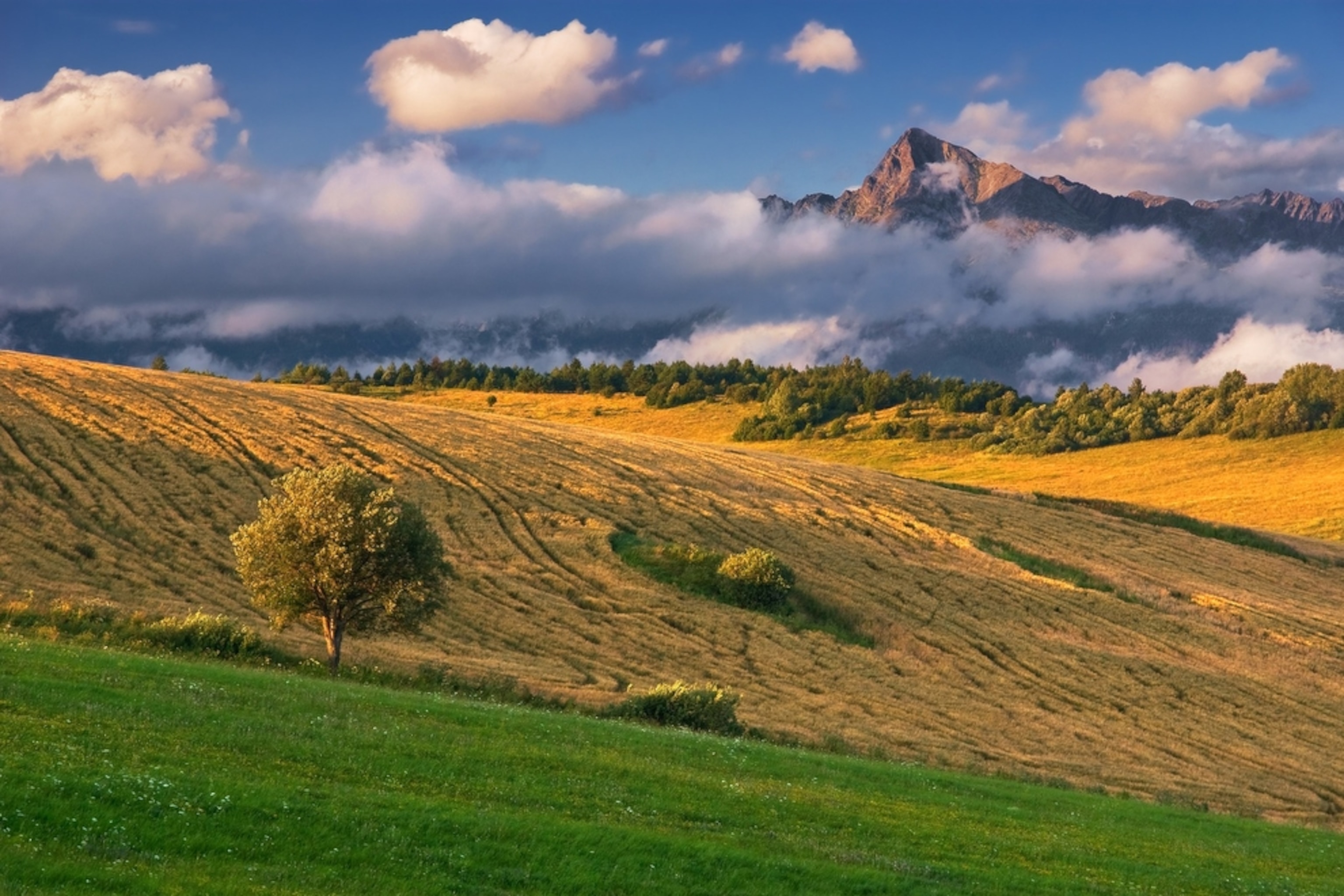 fields near Liptovská Kokava in Slovakia