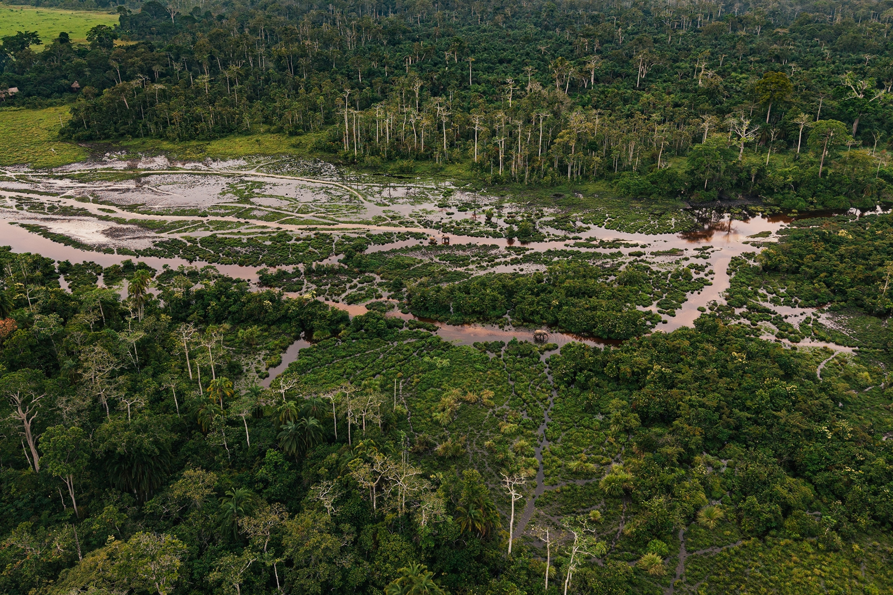 An aerial shot of a river splitting into multiple meandering streams through a tropical rainforest.
