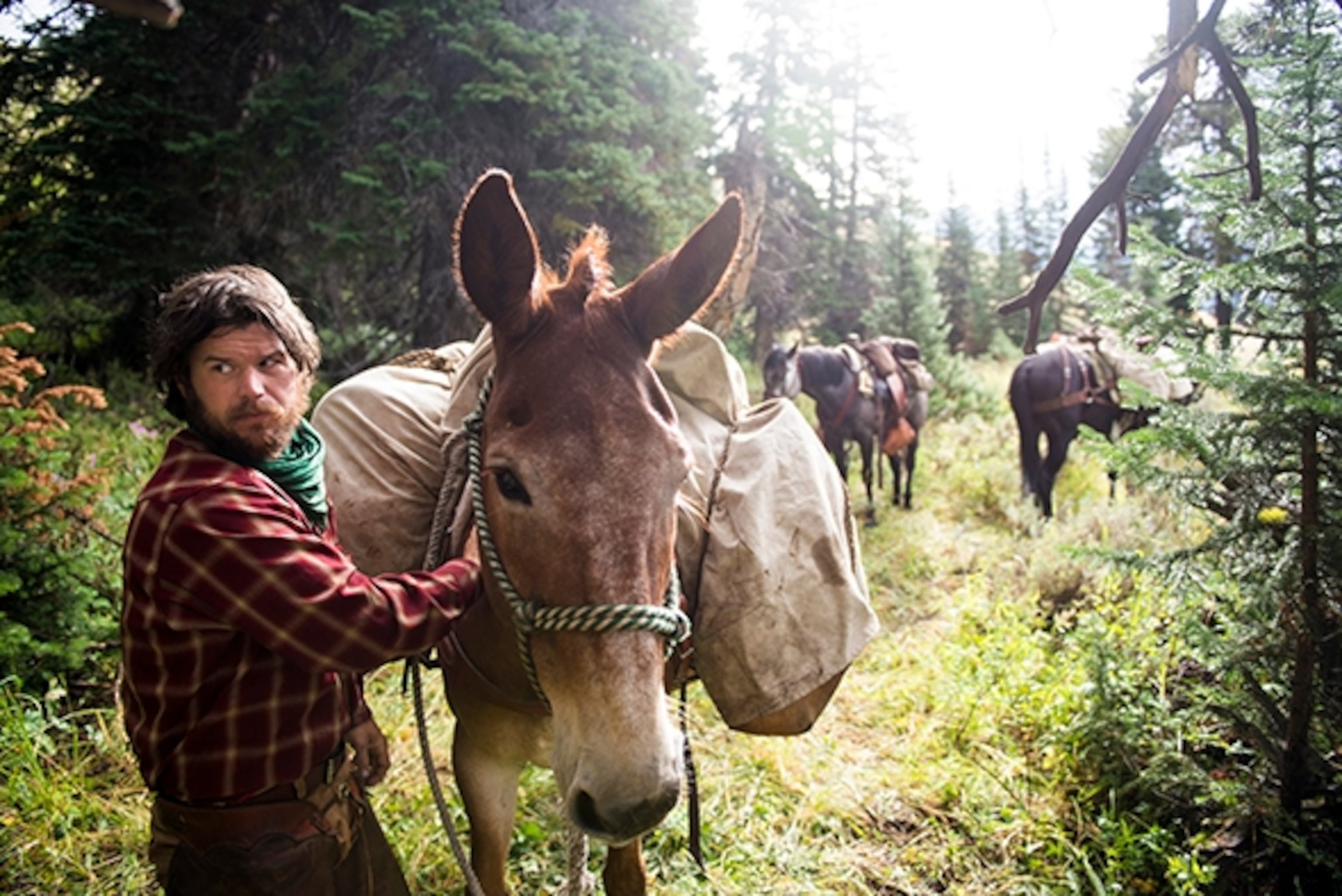 Army Special Forces veteran Ray Knell finishes tying down his packs on his mule, Top Gun, as he travels through Yellowstone National Park near the end of his solo, 1000 mile ride from Lake George, CO to Manhattan, MT for the veterans group Heroes and Horses. When Knell finishes his ride in September, he will donate all his livestock, gear and money raised to the program, which takes veterans on extreme, expedition-style horse pack trips and teaches them skills they can use to get jobs. Photograph by Michael