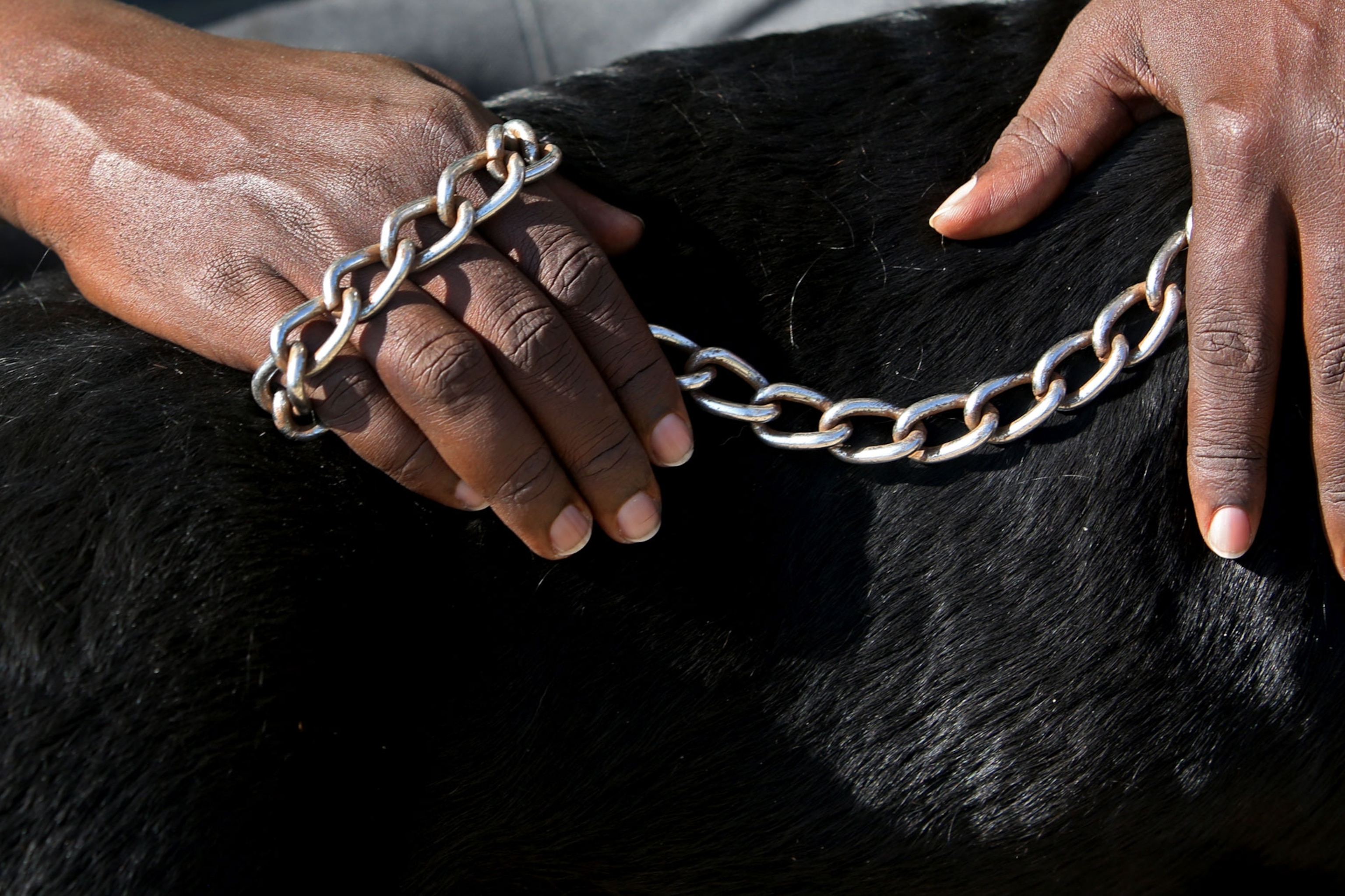 Beautiful Photos Show How Rwandans Are Embracing Dogs as Pets