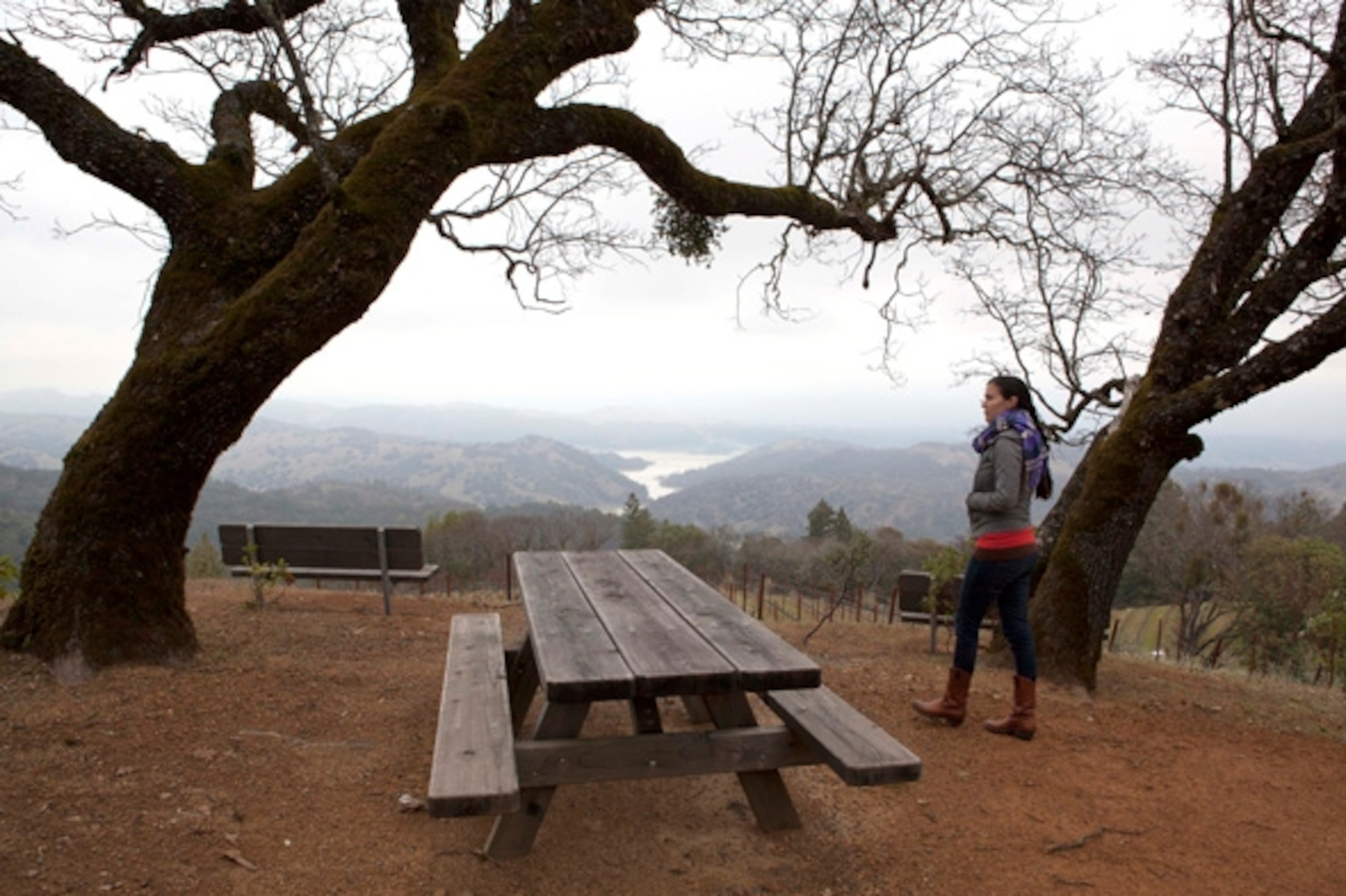 Kaitlin showing me the grounds at Gustafson Wineries. (Photograph by Shannon Switzer)