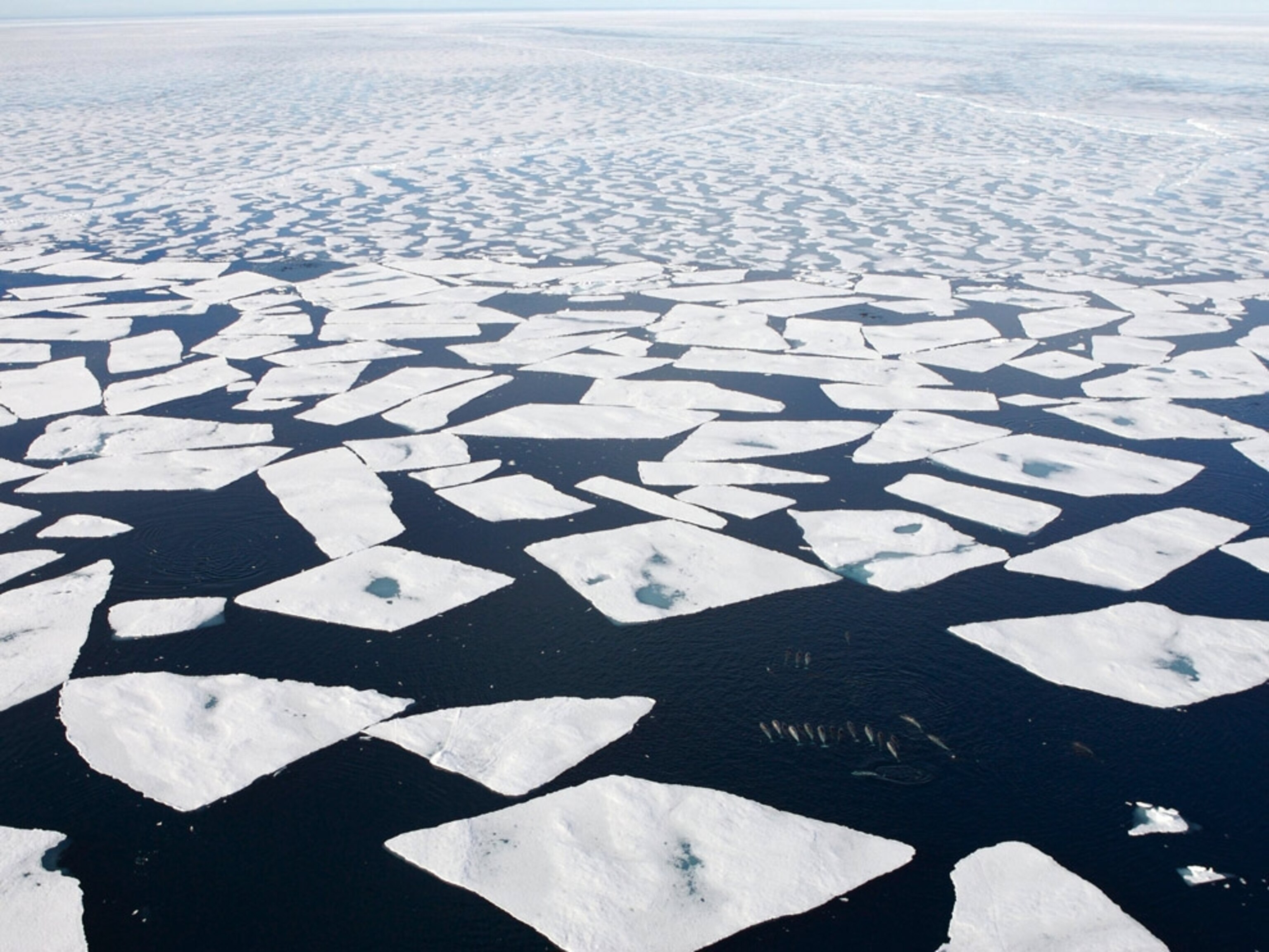 Arctic Circle ice breaking up