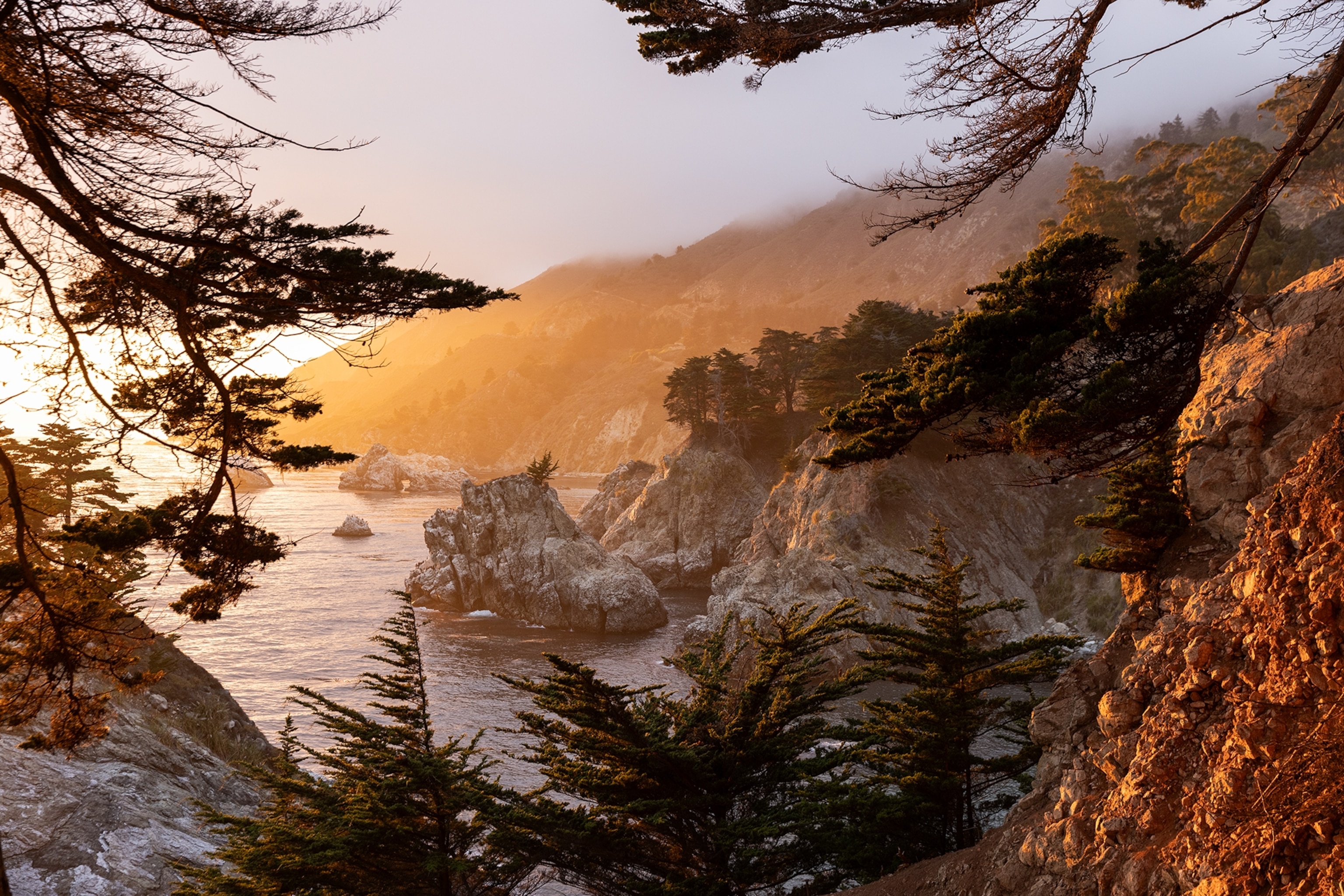 A rocky coastline with steep cliffs and windswept trees overlooks a calm cove at sunset, with warm golden light and sea mist illuminating the rugged landscape.