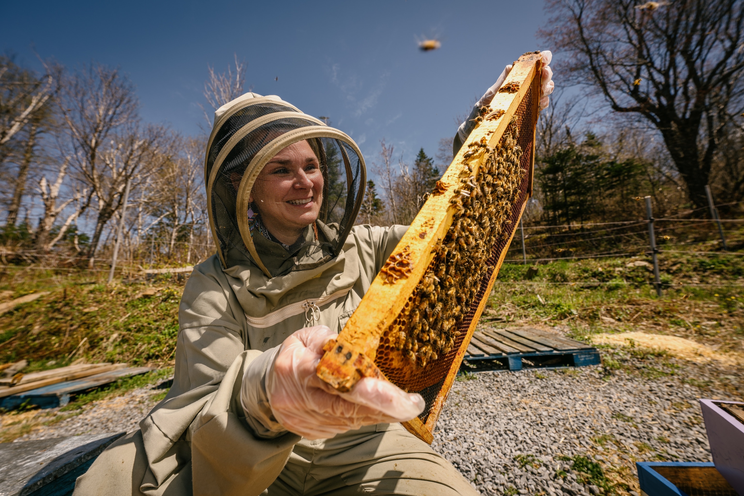 Pollen Nation Farm, Canada