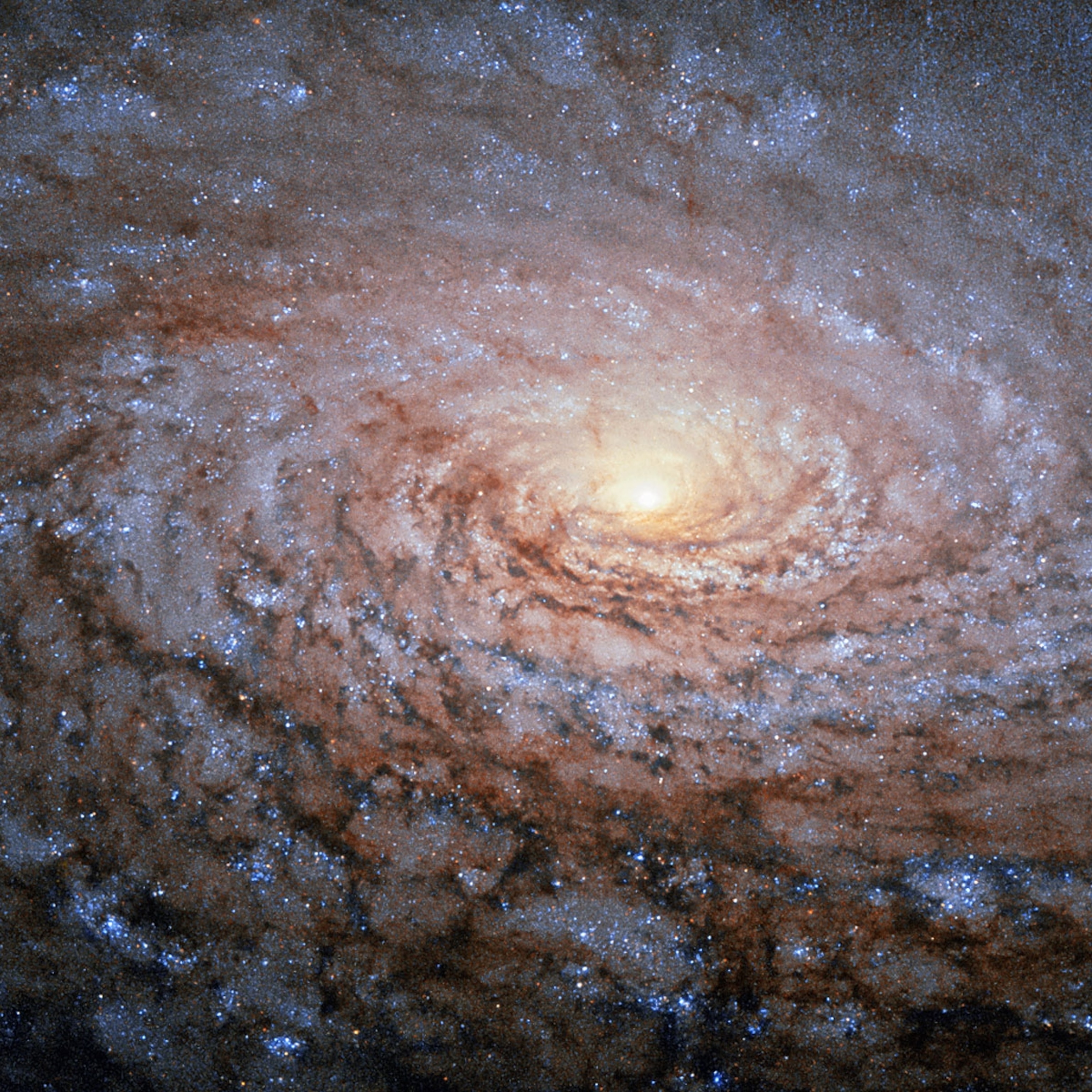 the spiral arms in the galaxy Messier 63.