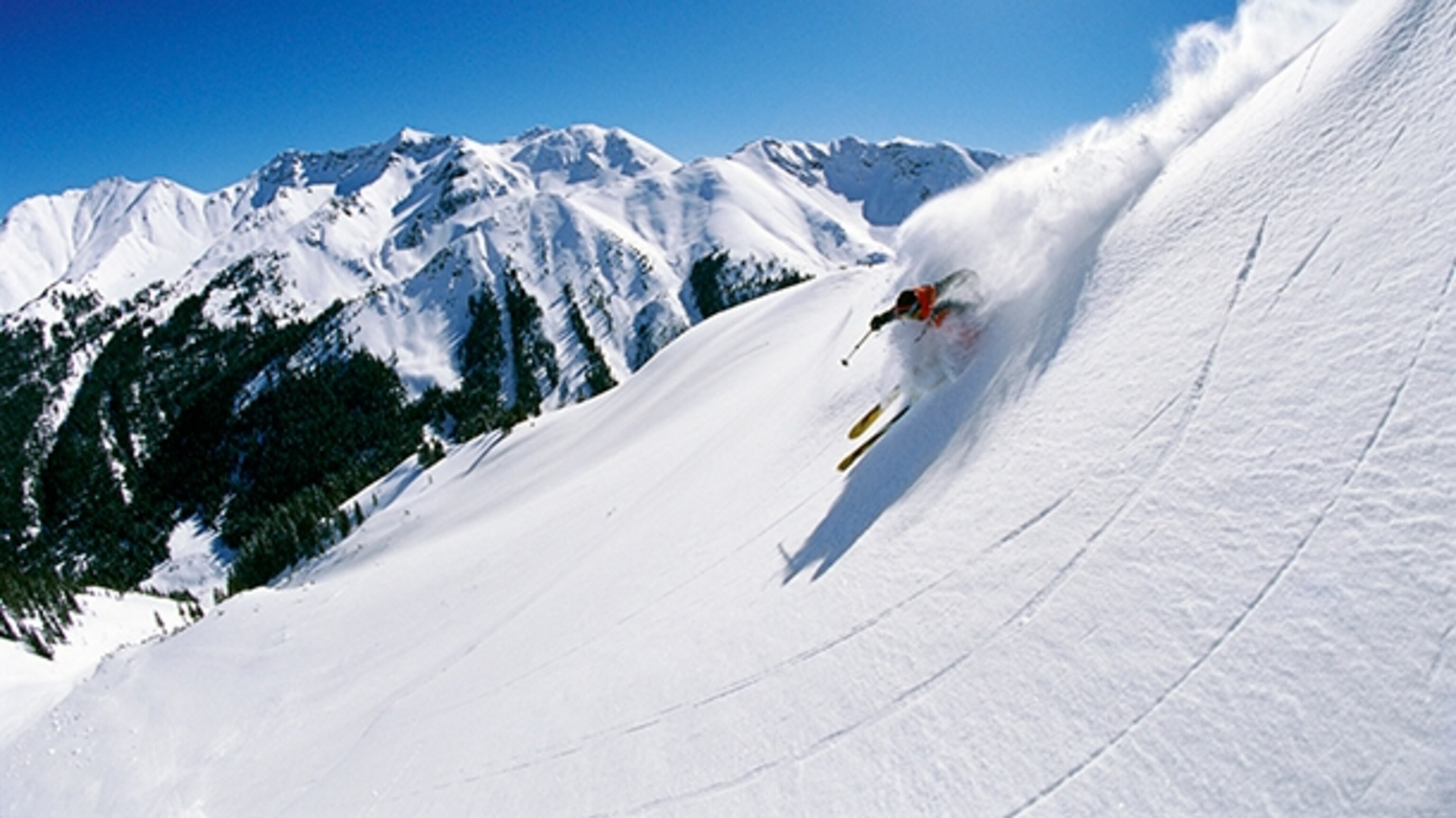 skier skiing in Silverton, Colorado