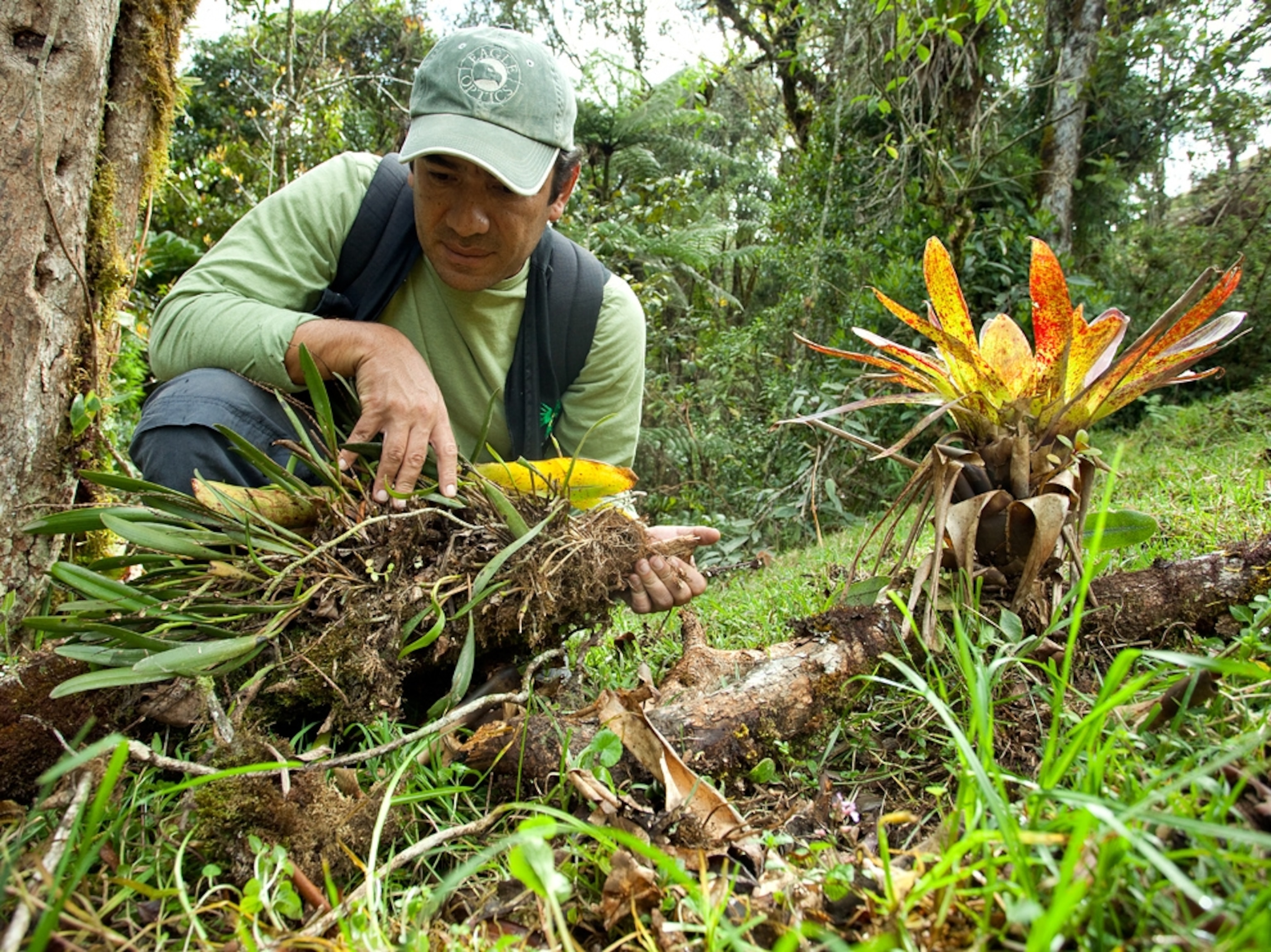 A picture of Alonso Quevedo looking for the Mesopotamia beaked toad