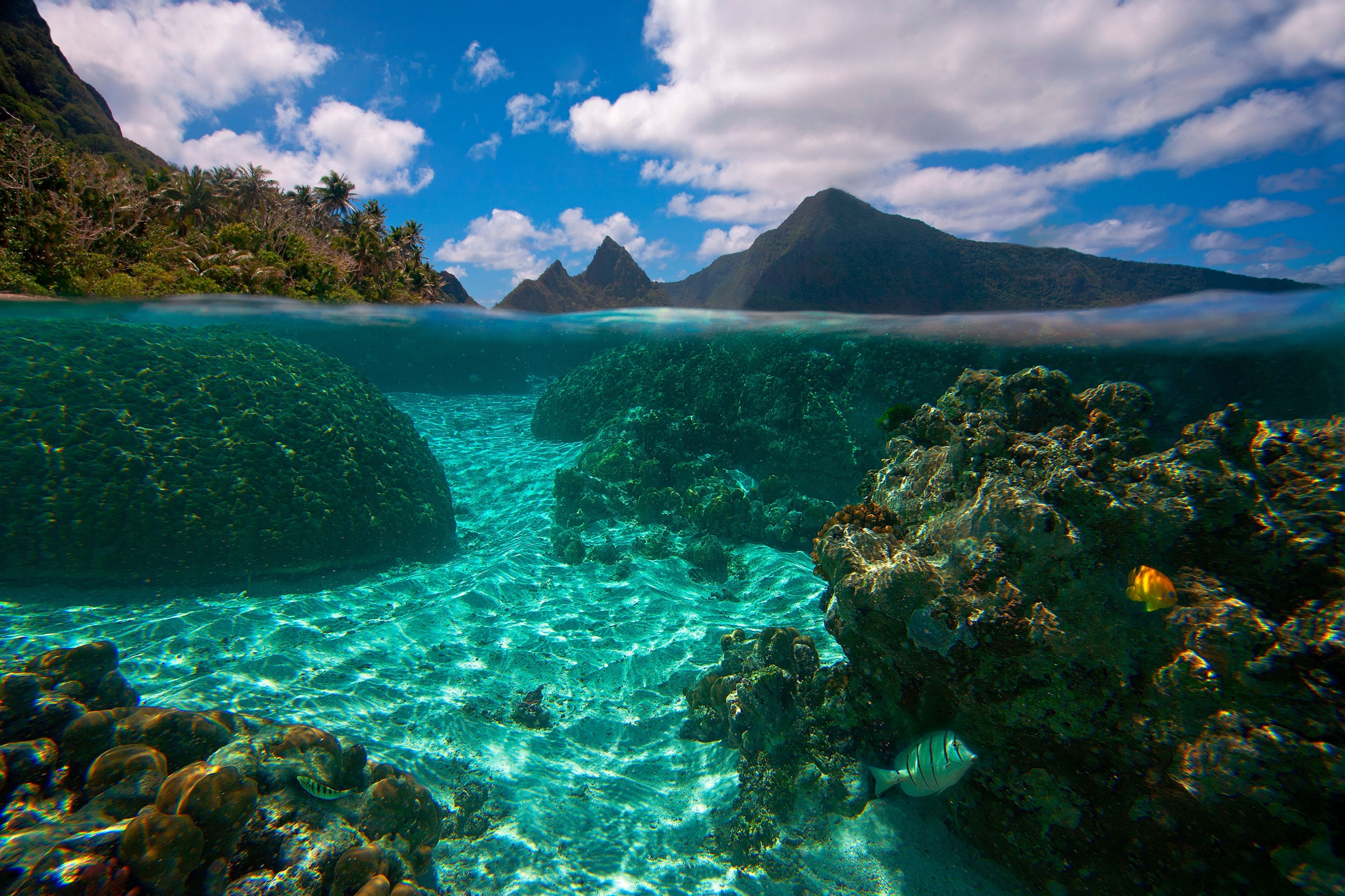 coral reef off the coast of American Samoa Island of Ofu