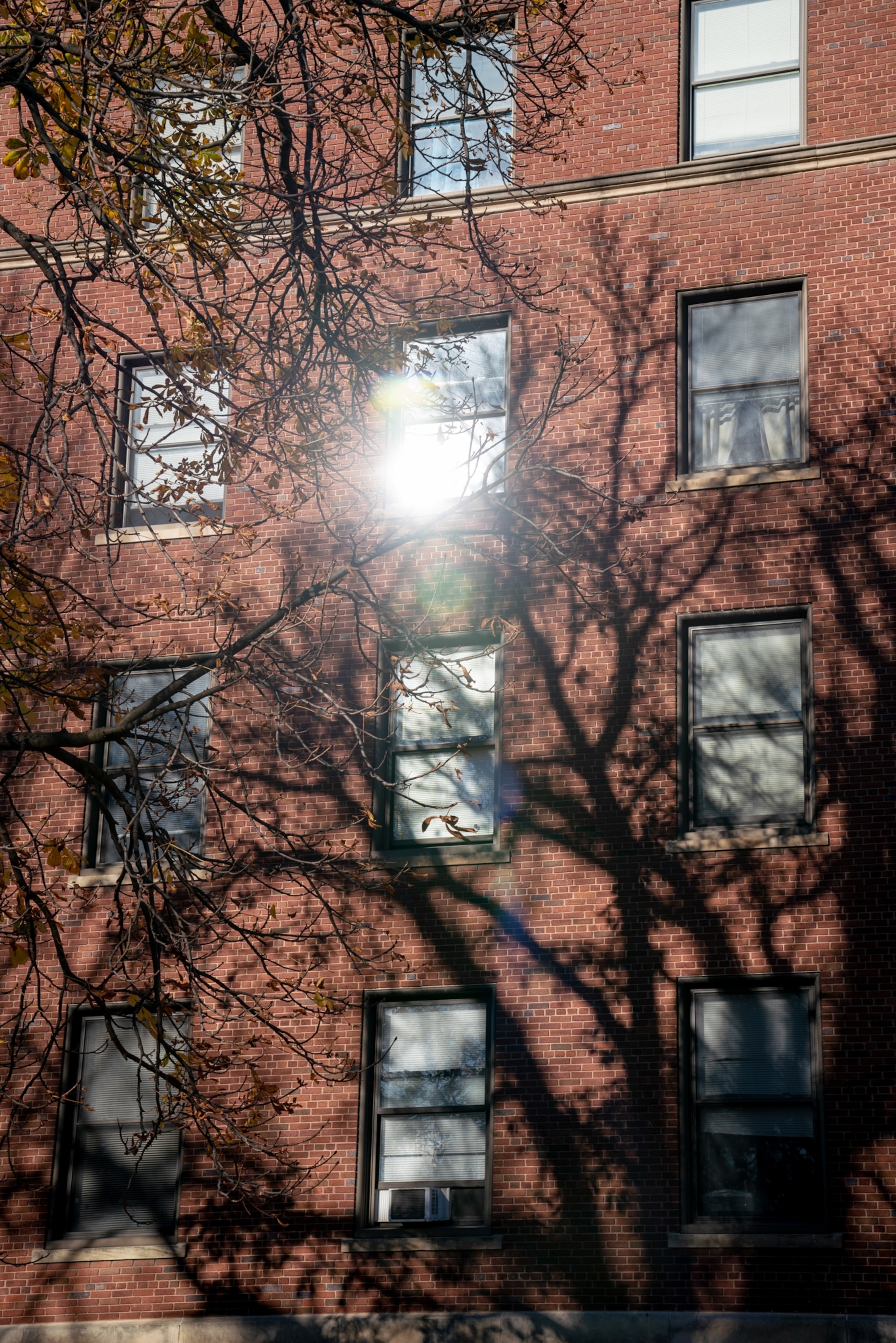 a picture of the sun on an apartment building