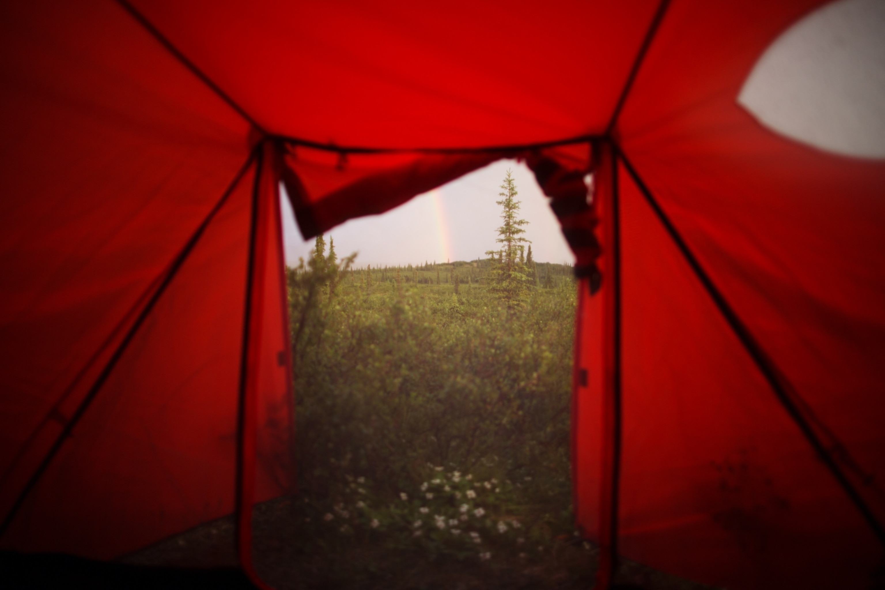 The view of the landscape with a rainbow from inside a tent.