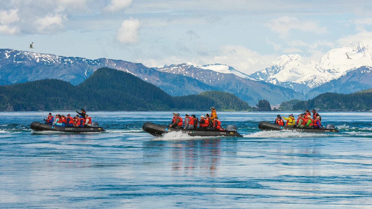 Looking for your next family adventure? Try an expedition cruise