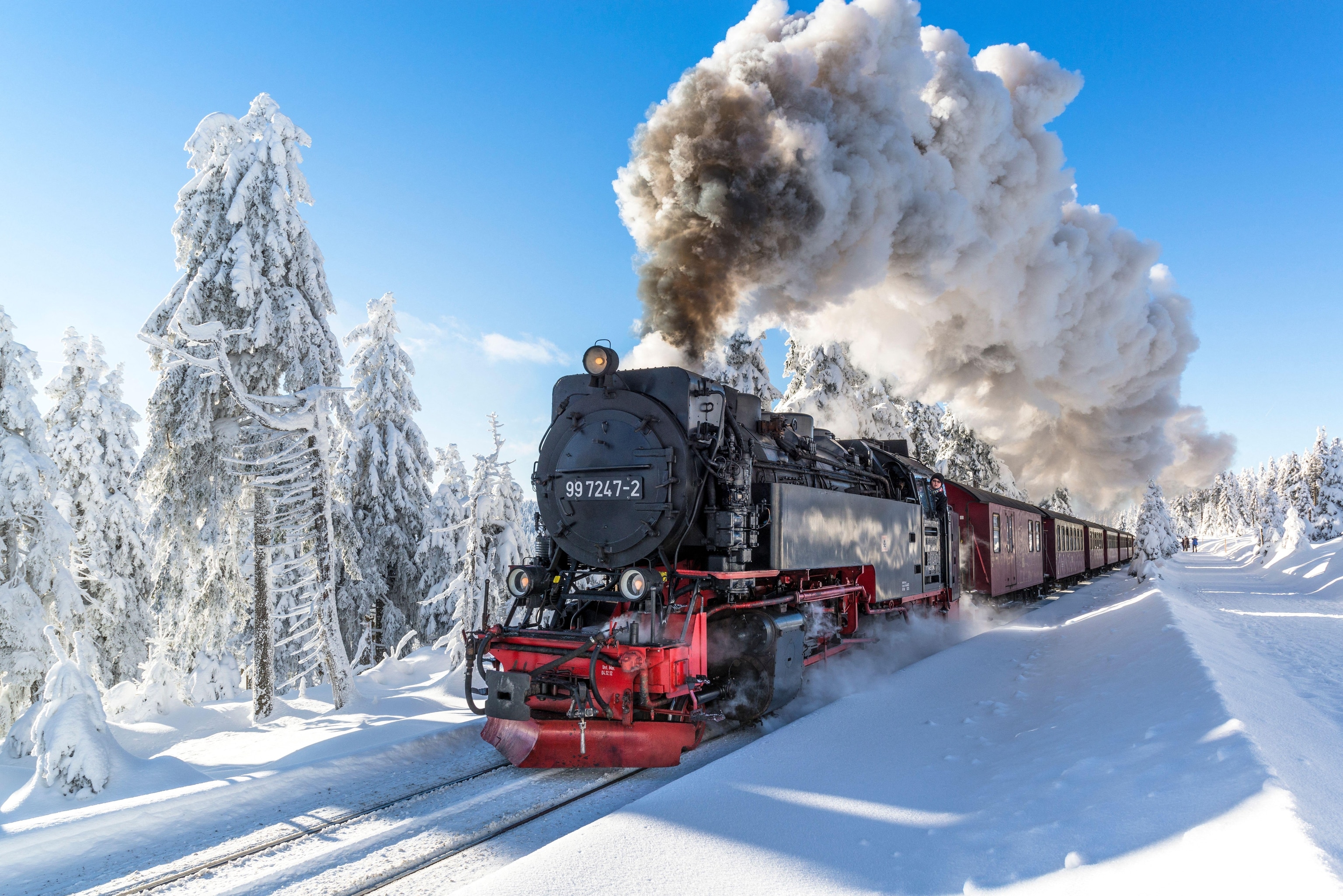 The Brockenbahn in the Harz National Park, Saxony-Anhalt, Germany