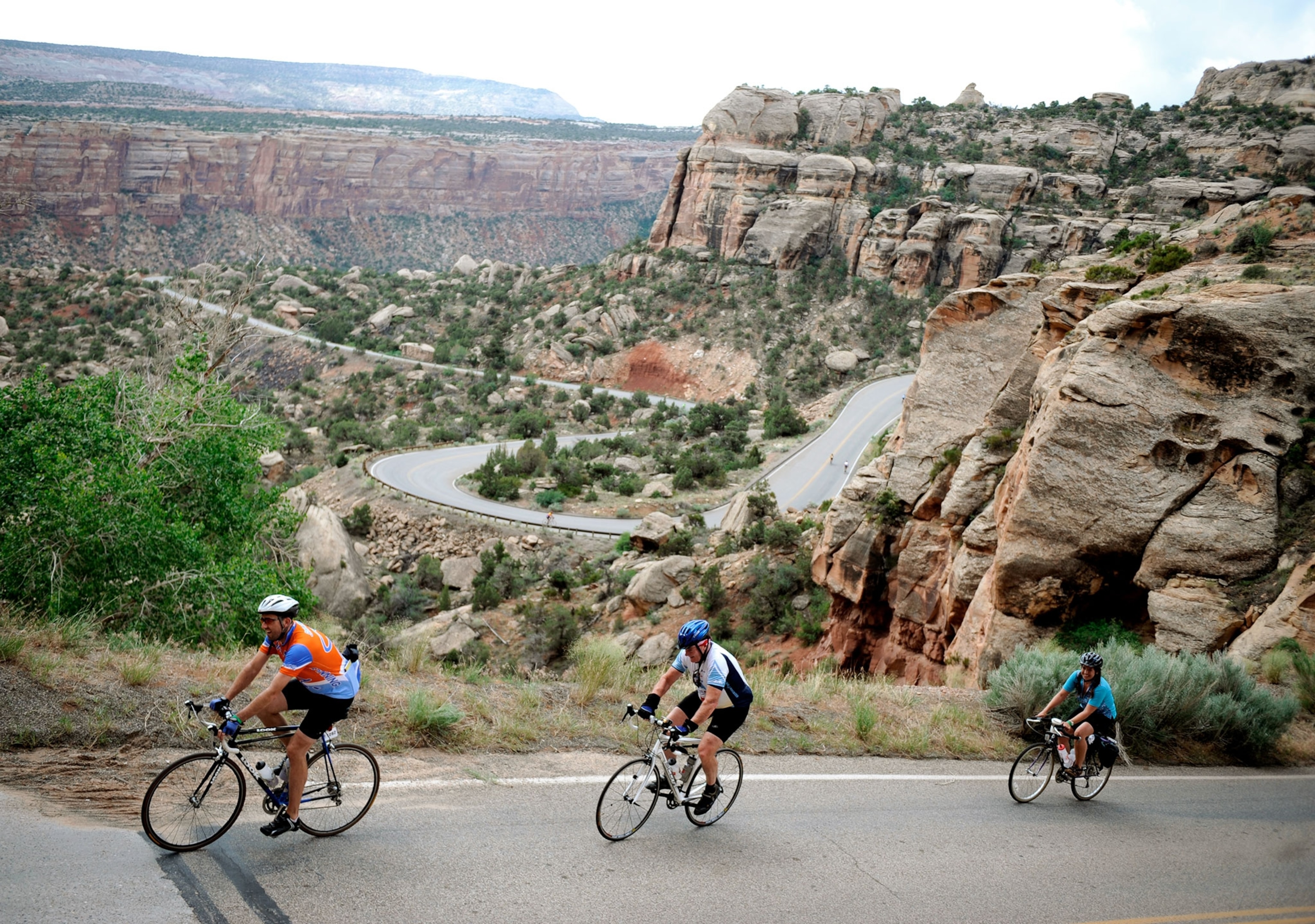 Cyclists are climbing hill at Colorado National Monument. 2,000 cyclists travel 45 miles loop of Colorado National Monument in Grand Junction.
