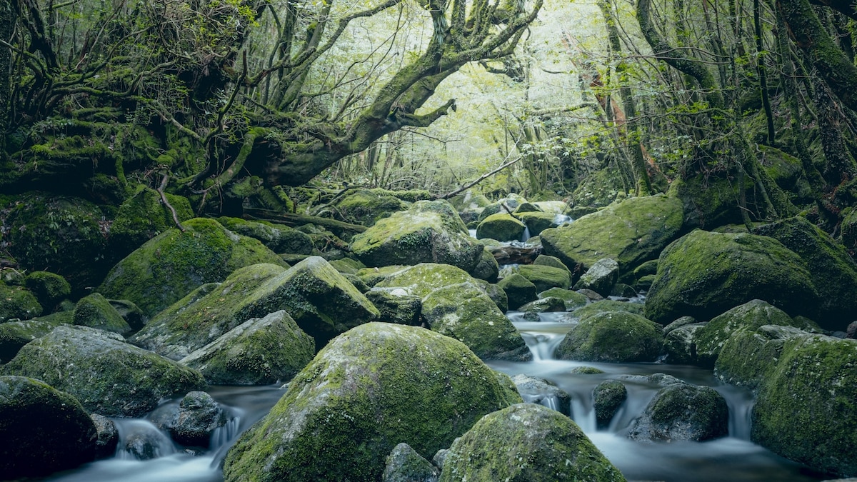 Hiking in Japan's World Heritage Sites