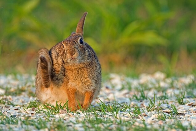 6 Stand Out National Wildlife Refuges
