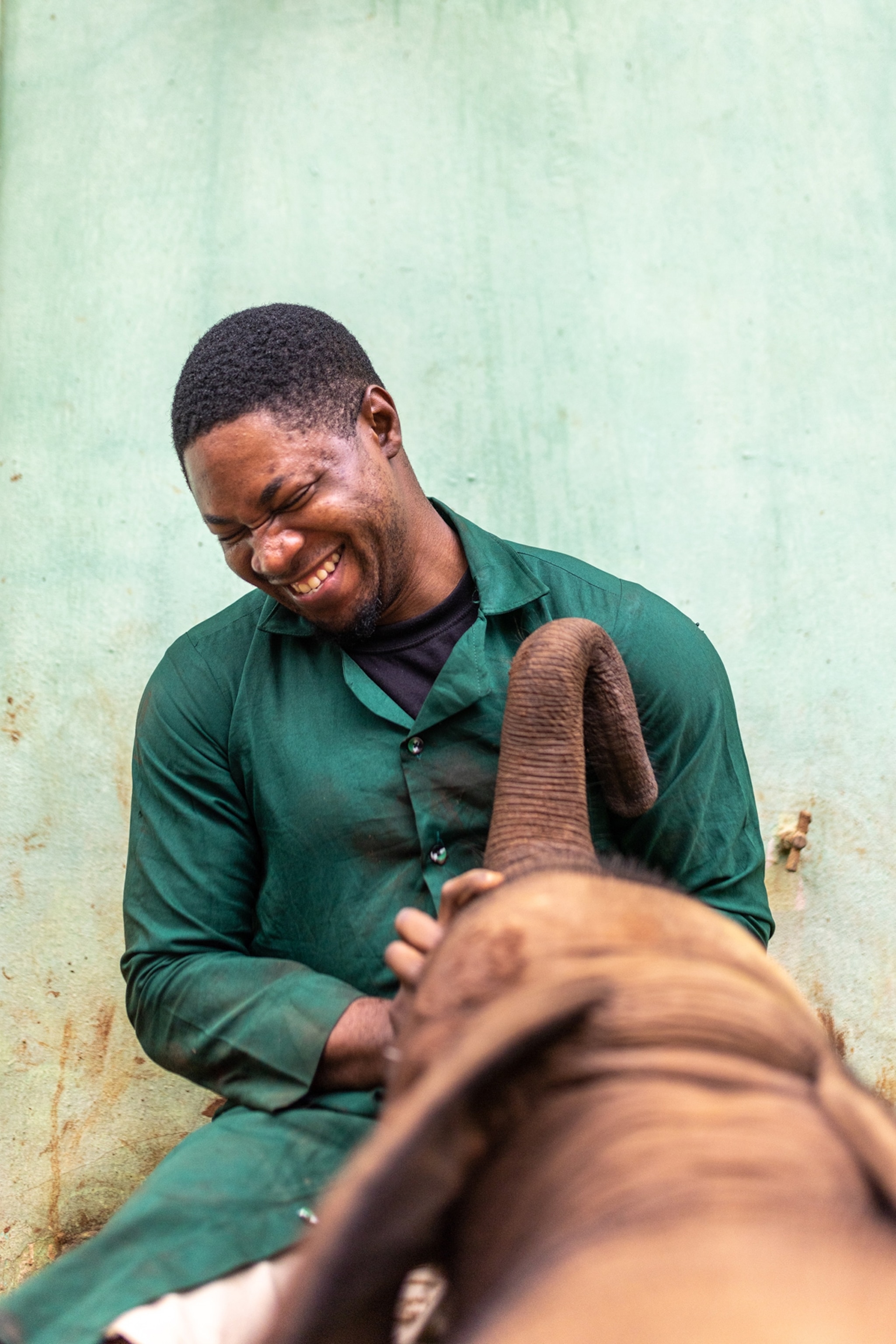 a man wearing green is laughing as he is attending to a baby elephant