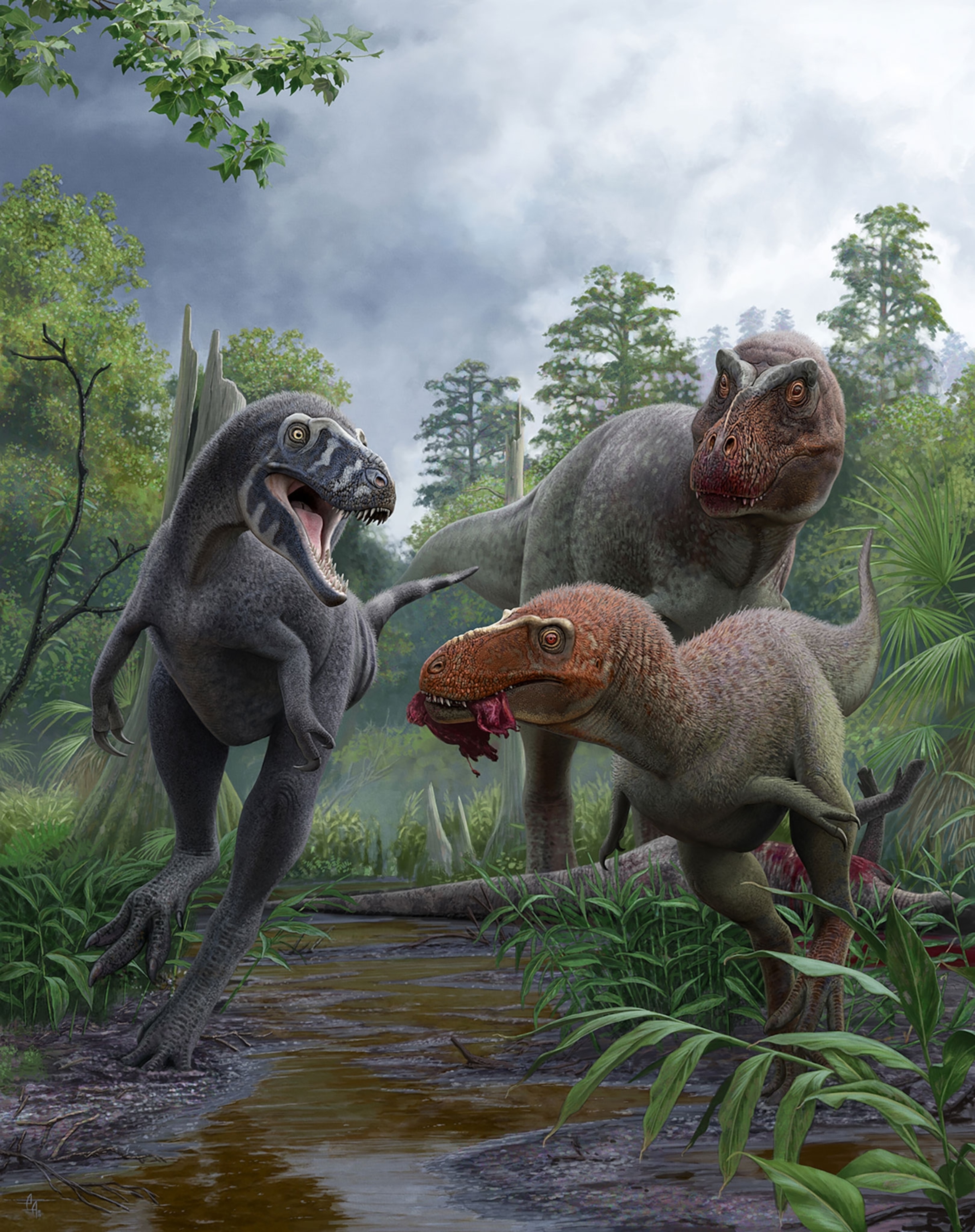 Artwork depicting a Nanotyrannus with a juvenile and adult Tyrannosaurus