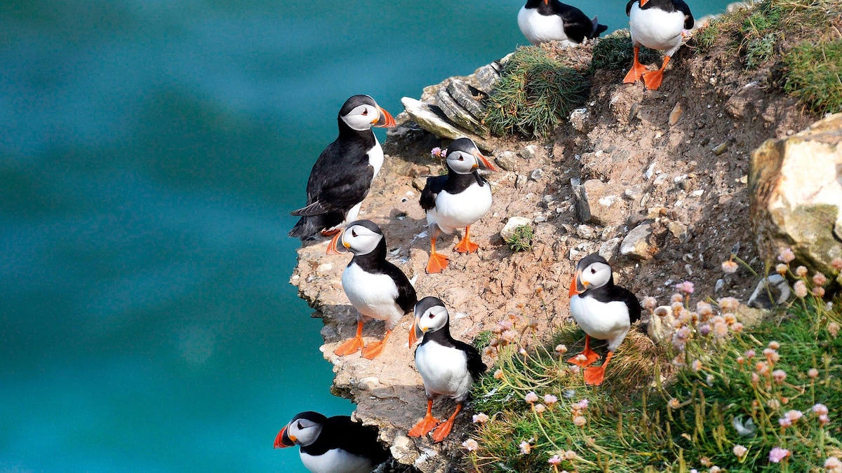 7 birdwatching trips around the world for budding enthusiasts