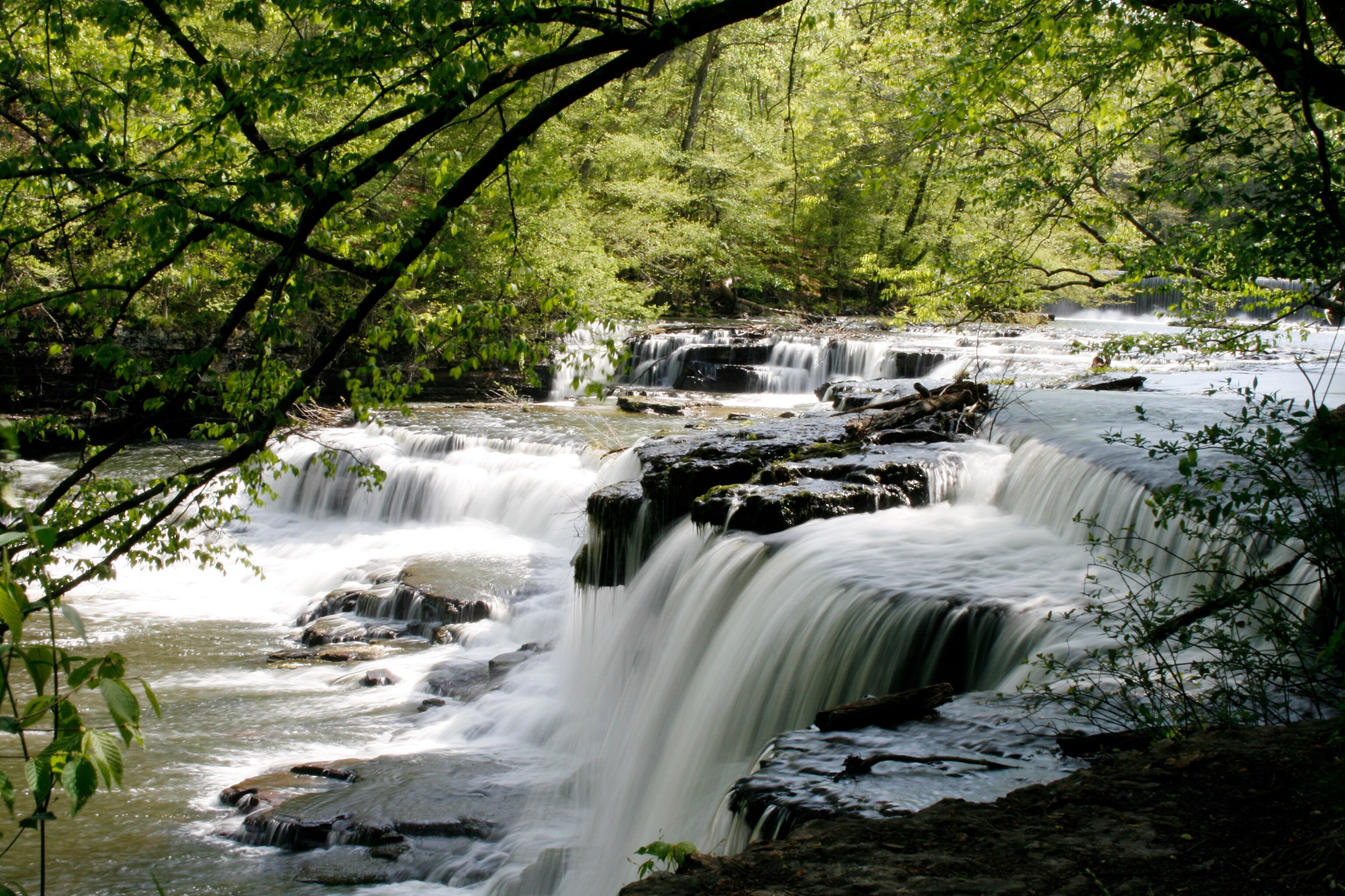 the Old Stone Fort Archaeological State Park in Manchester, Tennessee