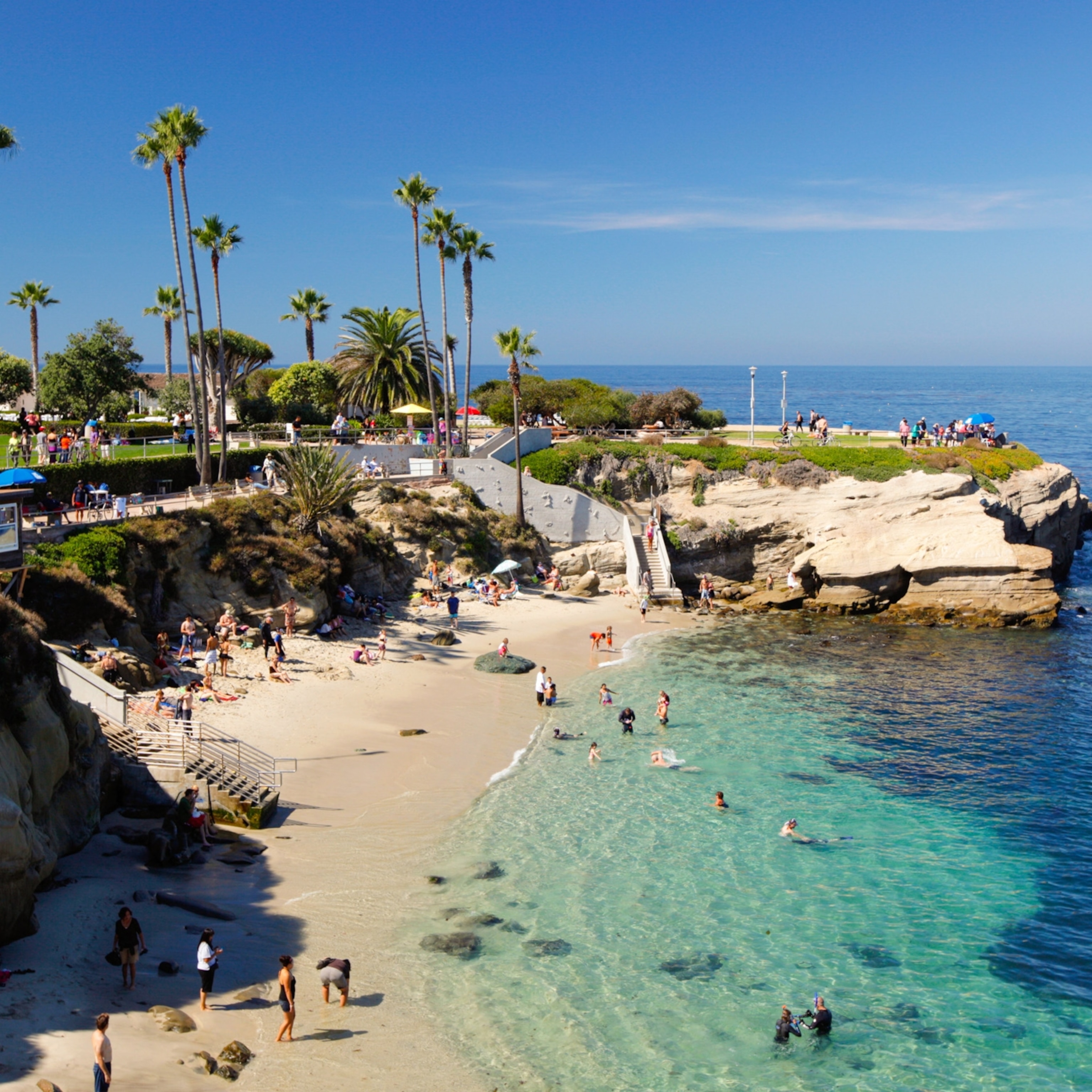 San+Diego+Sun-Times%3A+%22La+Jolla+Cove+Surprises+with+Rare+Blue+Whale+Sighting%22